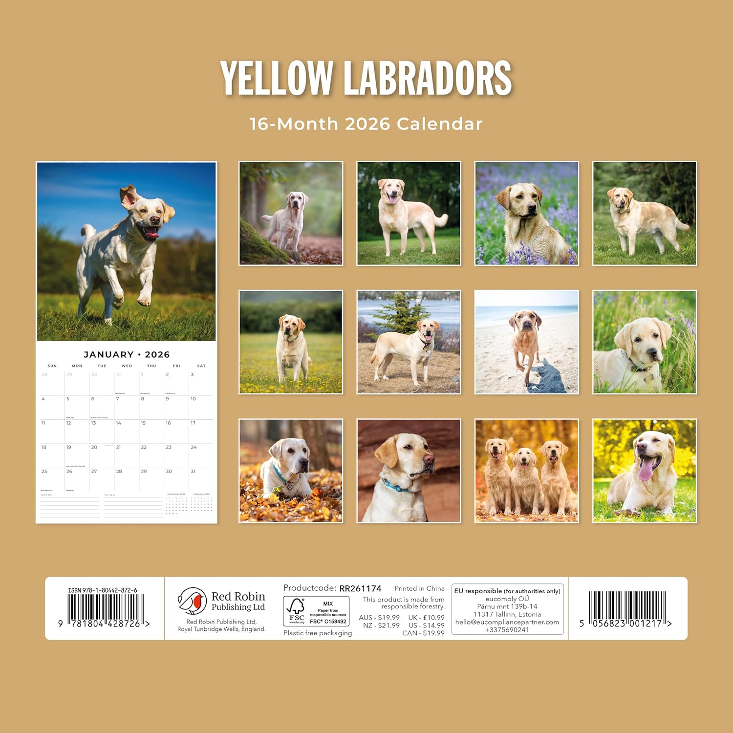 Red Robin 2026 Yellow Labrador Retriever Puppies Monthly Wall Calendar | 12" x 24" Open | Premium Thick & Sturdy Paper | Hangable 12 Month Calendar | Lined Notes & To Do Area | Plastic Free
