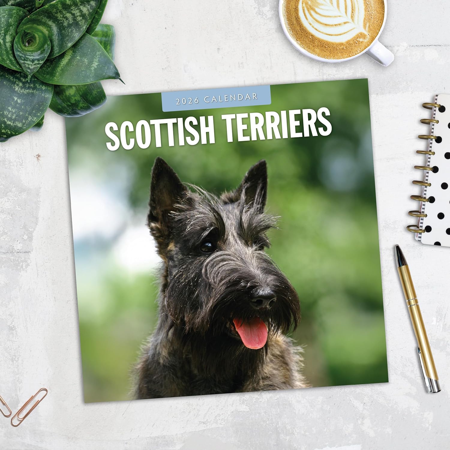 Red Robin 2026 Scottish Terriers Monthly Wall Calendar | 12" x 24" Open | Premium Thick & Sturdy Paper | Hangable 12 Month Calendar | Lined Notes & To Do Area | Vivid Images | Plastic Free