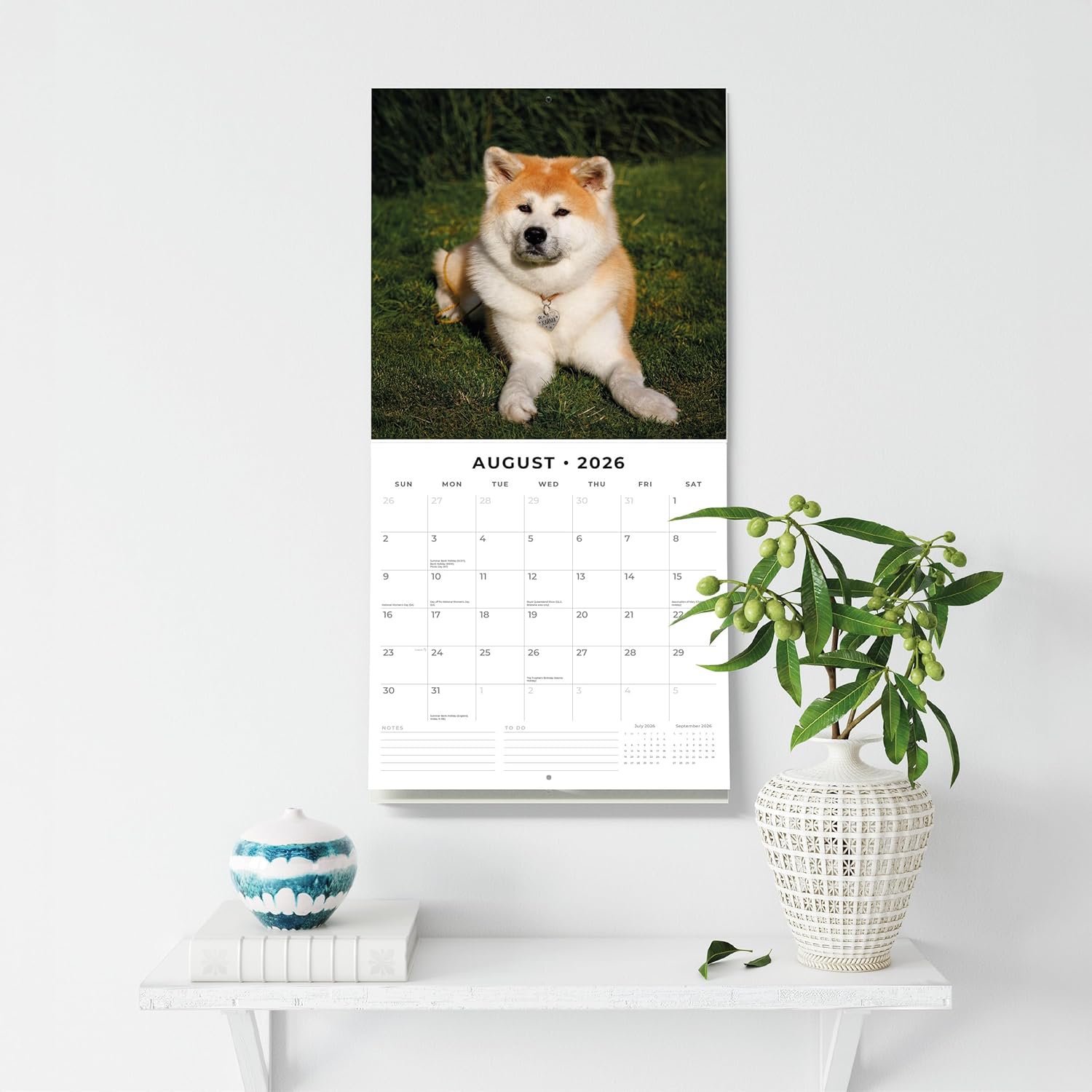 Red Robin 2026 Akitas Monthly Wall Calendar | 12" x 24" Open | Premium Thick & Sturdy Paper | Hangable 12 Month Calendar | Lined Notes & To Do Area | Vivid Images | Plastic Free