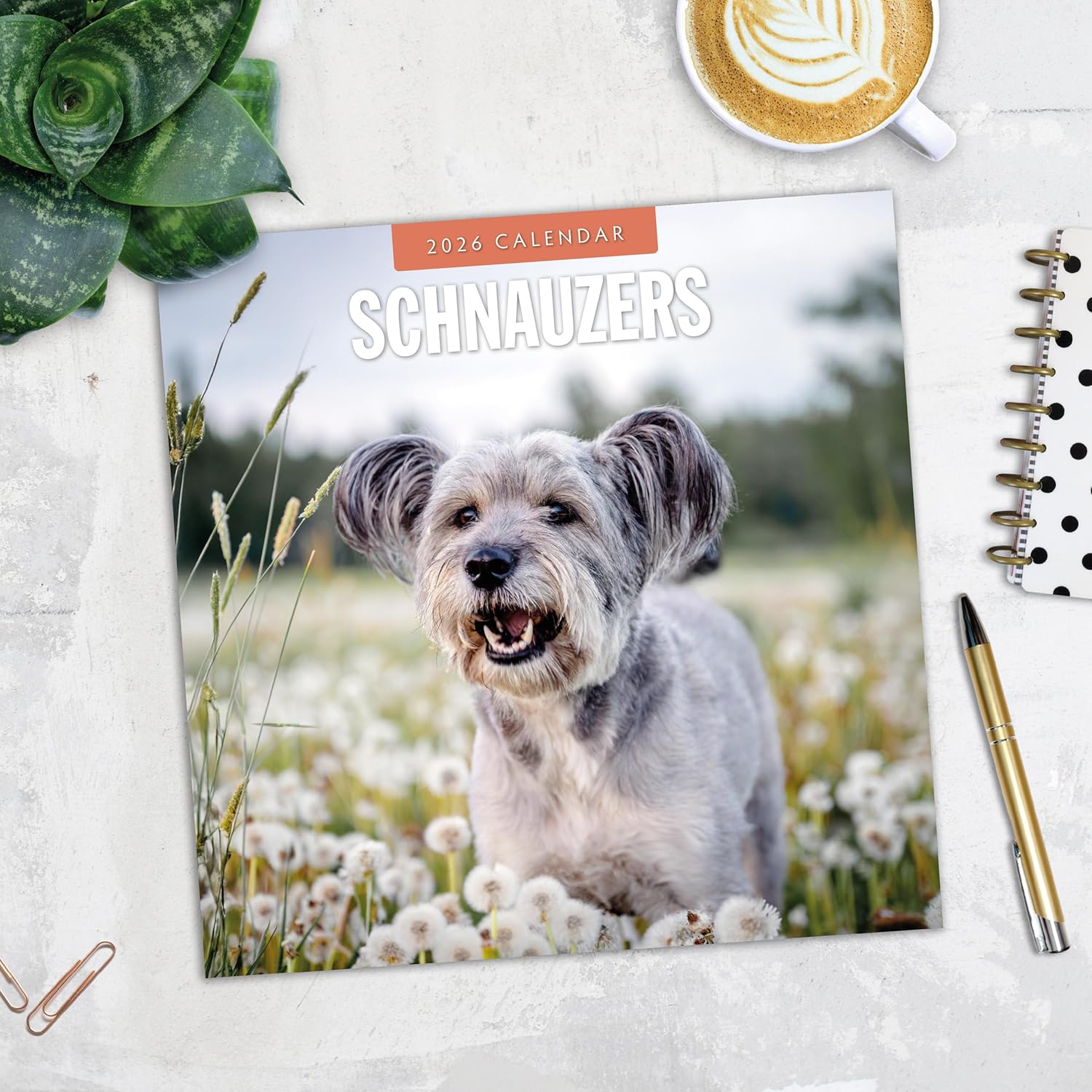 Red Robin 2026 Schnauzers Monthly Wall Calendar | 12" x 24" Open | Premium Thick & Sturdy Paper | Hangable 12 Month Calendar | Lined Notes & To Do Area | Vivid Images | Plastic Free