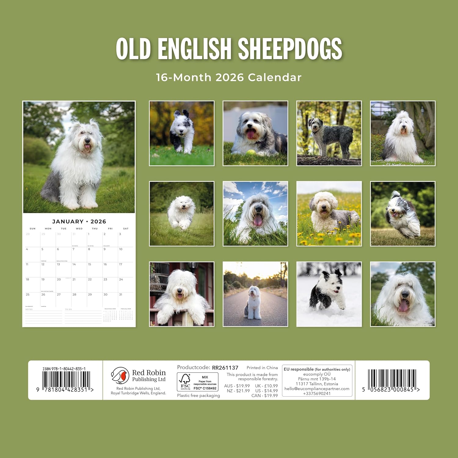 Red Robin 2026 Old English Sheepdogs Monthly Wall Calendar | 12" x 24" Open | Premium Thick & Sturdy Paper | Hangable 12 Month Calendar | Lined Notes & To Do Area | Vivid Images | Plastic Free