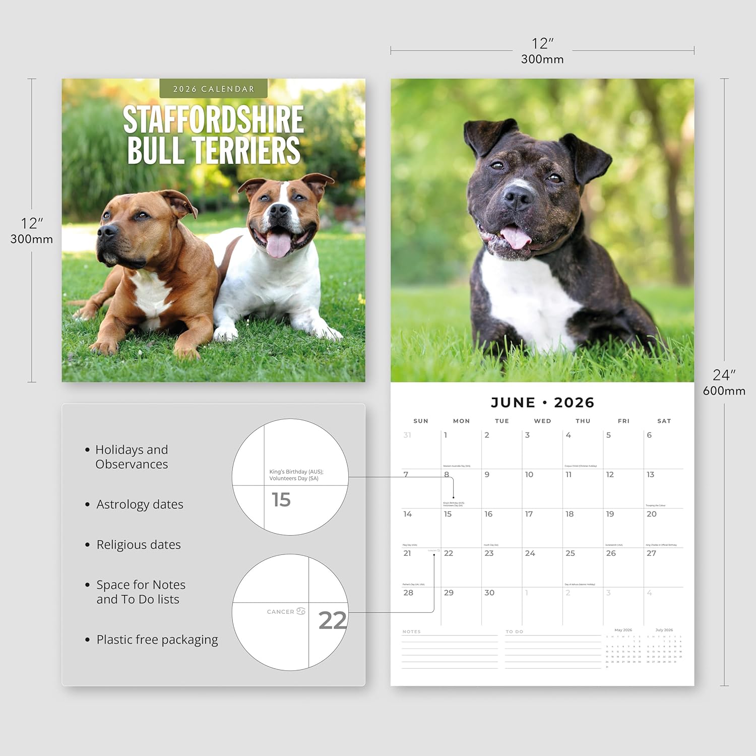 Red Robin 2026 Staffordshire Bull Terriers Monthly Wall Calendar | 12" x 24" Open | Premium Thick & Sturdy Paper | Hangable 12 Month Calendar | Lined Notes & To Do Area | Vivid Images | Plastic Free