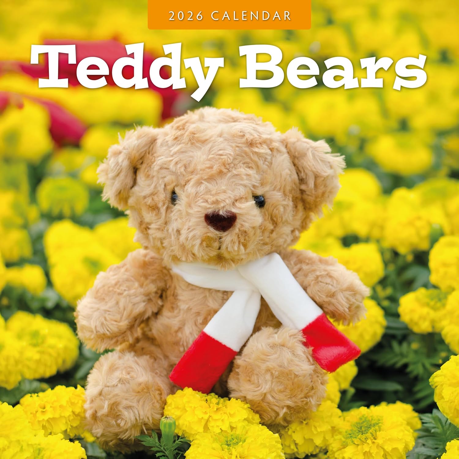 Red Robin 2026 Teddy Bears Monthly Wall Calendar | 12" x 24" Open | Premium Thick & Sturdy Paper | Hangable 12 Month Calendar | Lined Notes & To Do Area | Vivid Images | Plastic Free