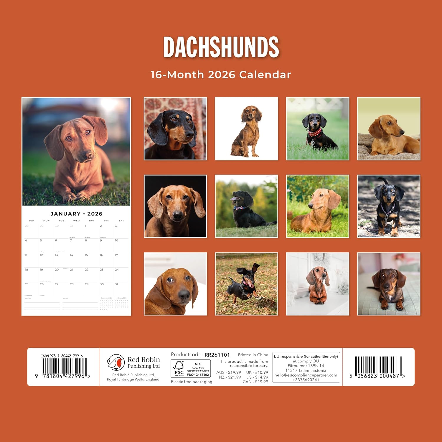 Red Robin 2026 Dachshunds Monthly Wall Calendar | 12" x 24" Open | Premium Thick & Sturdy Paper | Hangable 12 Month Calendar | Lined Notes & To Do Area | Vivid Images | Plastic Free