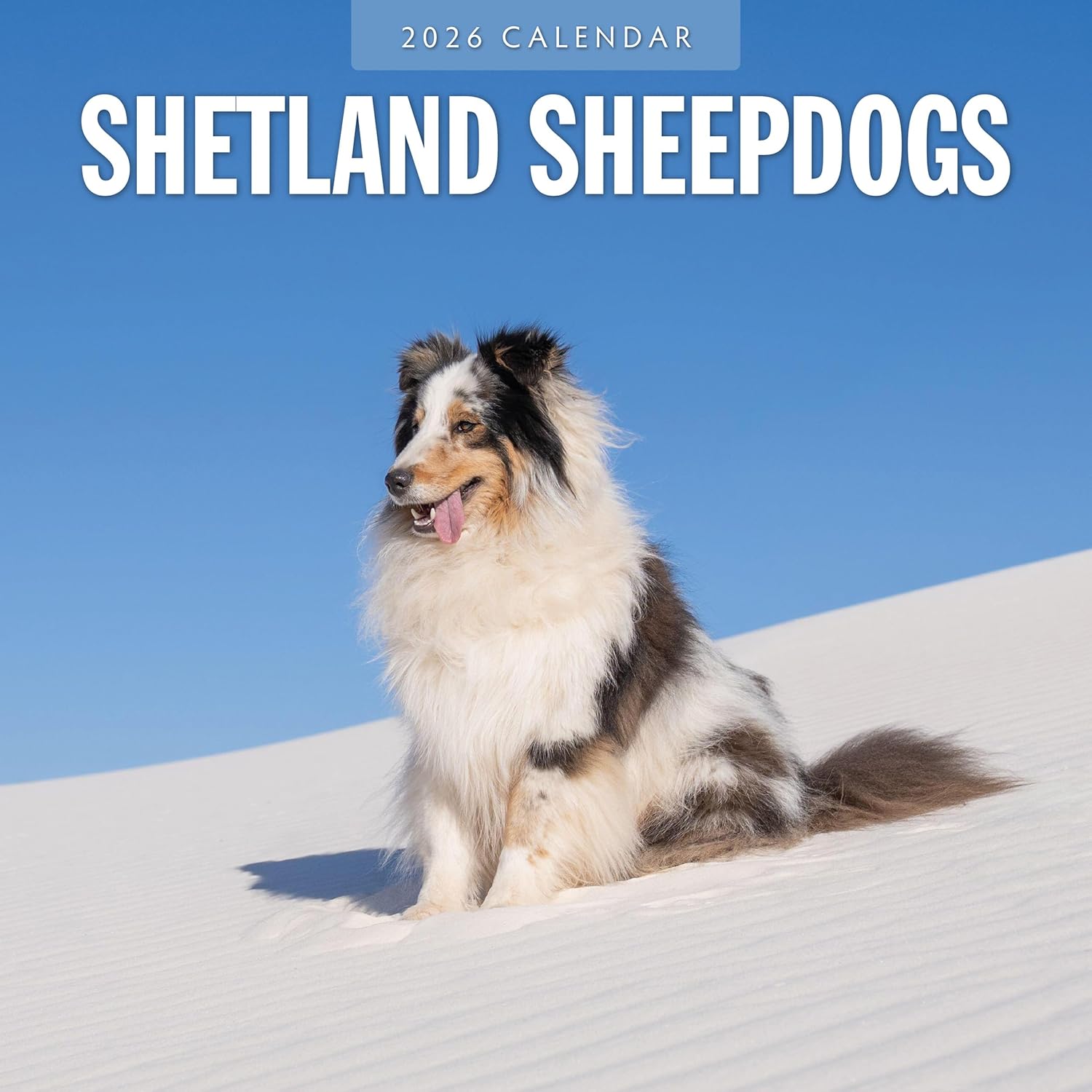 Red Robin 2026 Shetland Sheepdogs Monthly Wall Calendar | 12" x 24" Open | Premium Thick & Sturdy Paper | Hangable 12 Month Calendar | Lined Notes & To Do Area | Vivid Images | Plastic Free