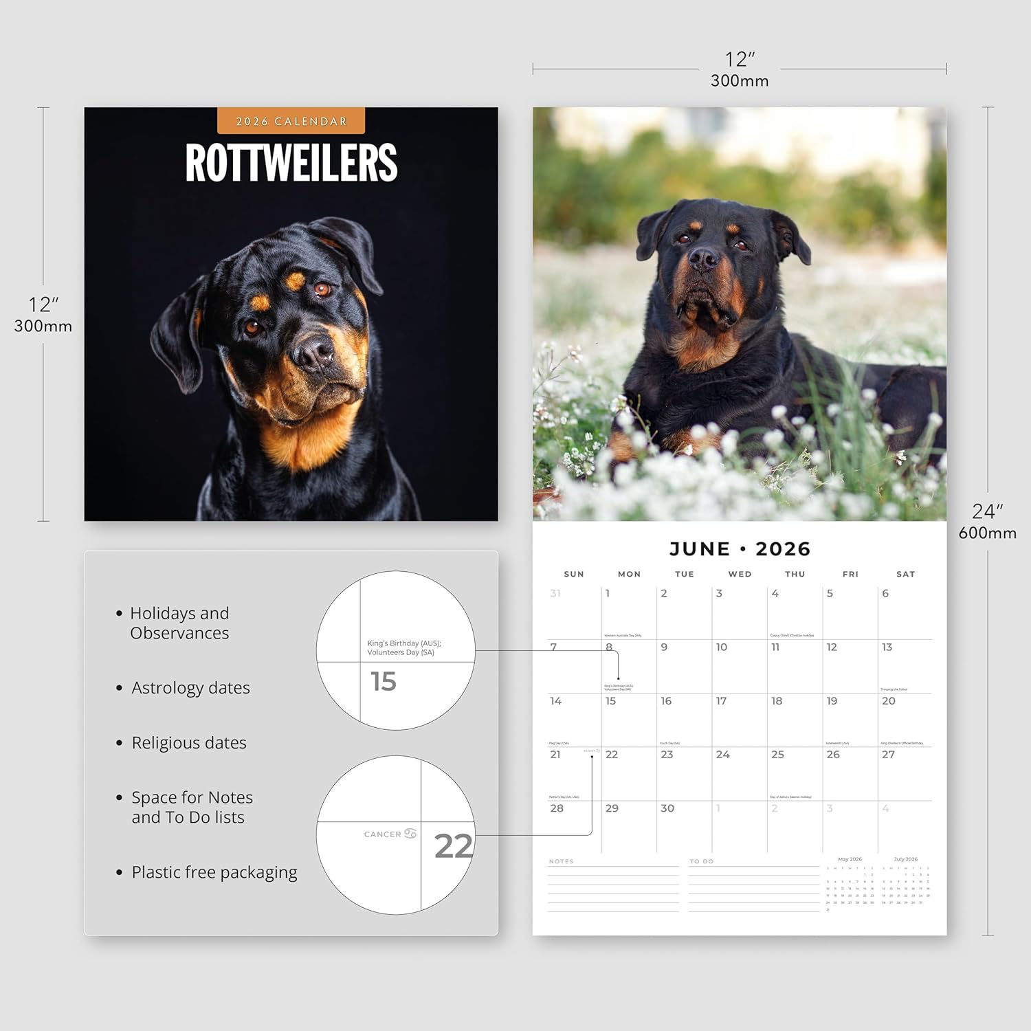 Red Robin 2026 Rottweilers Monthly Wall Calendar | 12" x 24" Open | Premium Thick & Sturdy Paper | Hangable 12 Month Calendar | Lined Notes & To Do Area | Vivid Images | Plastic Free