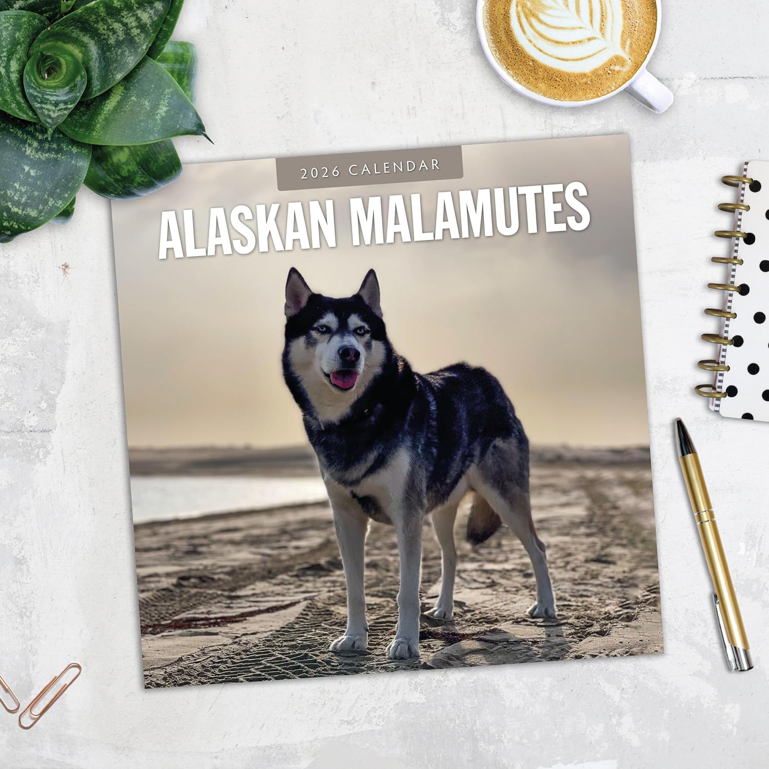 Red Robin 2026 Alaskan Malamutes Monthly Wall Calendar | 12" x 24" Open | Premium Thick & Sturdy Paper | Hangable 12 Month Calendar | Lined Notes & To Do Area | Vivid Images | Plastic Free