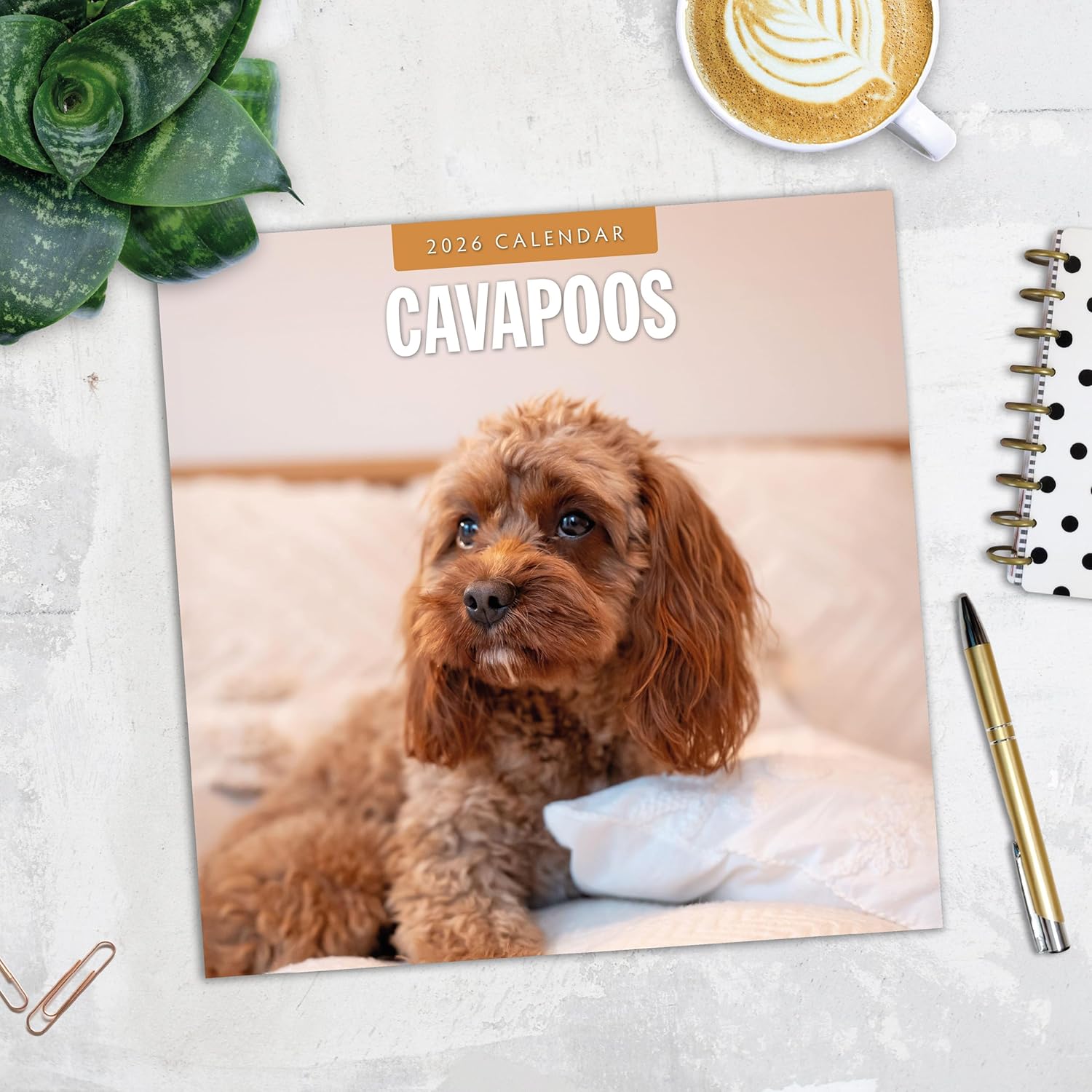 Red Robin 2026 Cavapoos Monthly Wall Calendar | 12" x 24" Open | Premium Thick & Sturdy Paper | Hangable 12 Month Calendar | Lined Notes & To Do Area | Vivid Images | Plastic Free