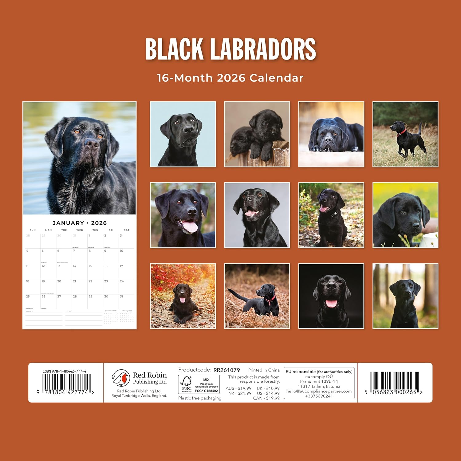 Red Robin 2026 Black Labradors Monthly Wall Calendar | 12" x 24" Open | Premium Thick & Sturdy Paper | Hangable 12 Month Calendar | Lined Notes & To Do Area | Vivid Images | Plastic Free