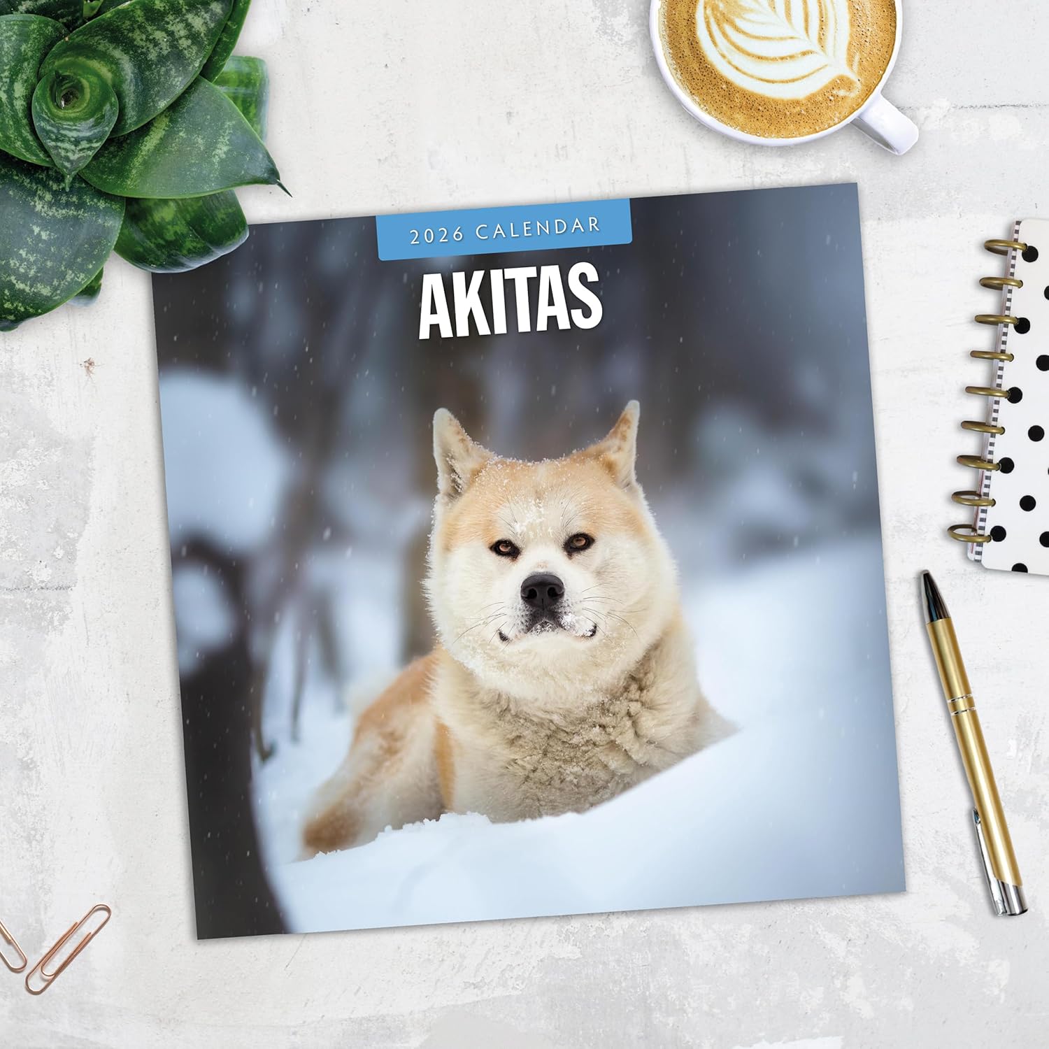 Red Robin 2026 Akitas Monthly Wall Calendar | 12" x 24" Open | Premium Thick & Sturdy Paper | Hangable 12 Month Calendar | Lined Notes & To Do Area | Vivid Images | Plastic Free