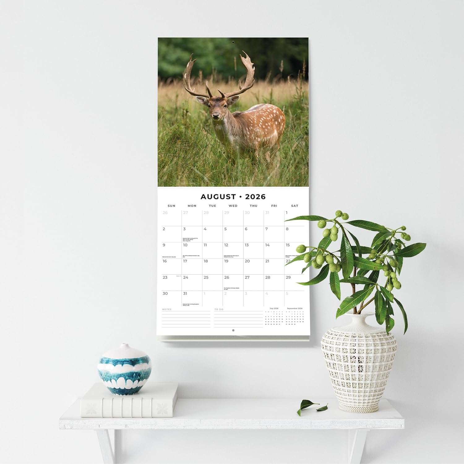 Red Robin 2026 Country Wildlife Monthly Wall Calendar | 12" x 24" Open | Premium Thick & Sturdy Paper | Hangable 12 Month Calendar | Lined Notes & To Do Area | Vivid Images | Plastic Free