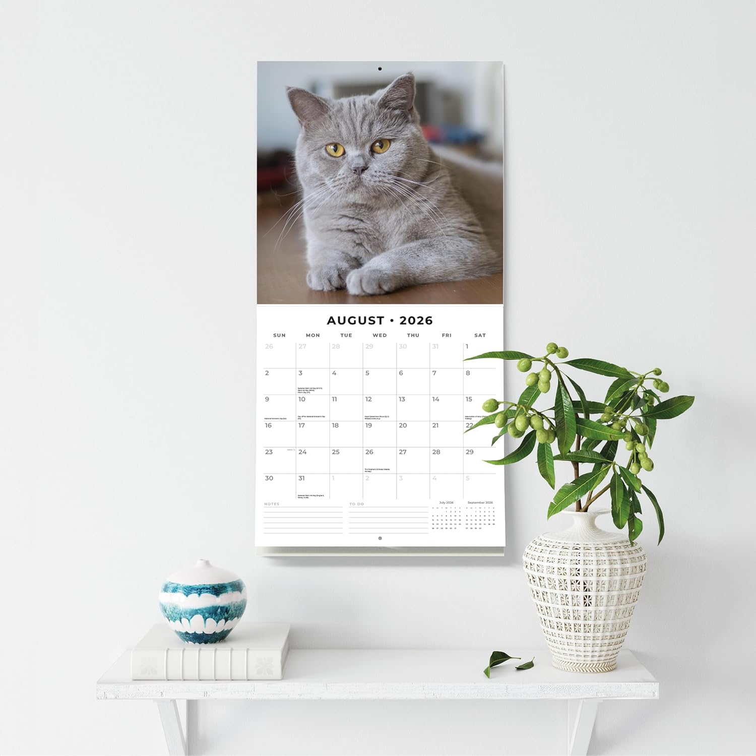 Red Robin 2026 British Shorthair Cats Monthly Wall Calendar | 12" x 24" Open | Premium Thick & Sturdy Paper | Hangable 12 Month Calendar | Lined Notes & To Do Area | Vivid Images | Plastic Free