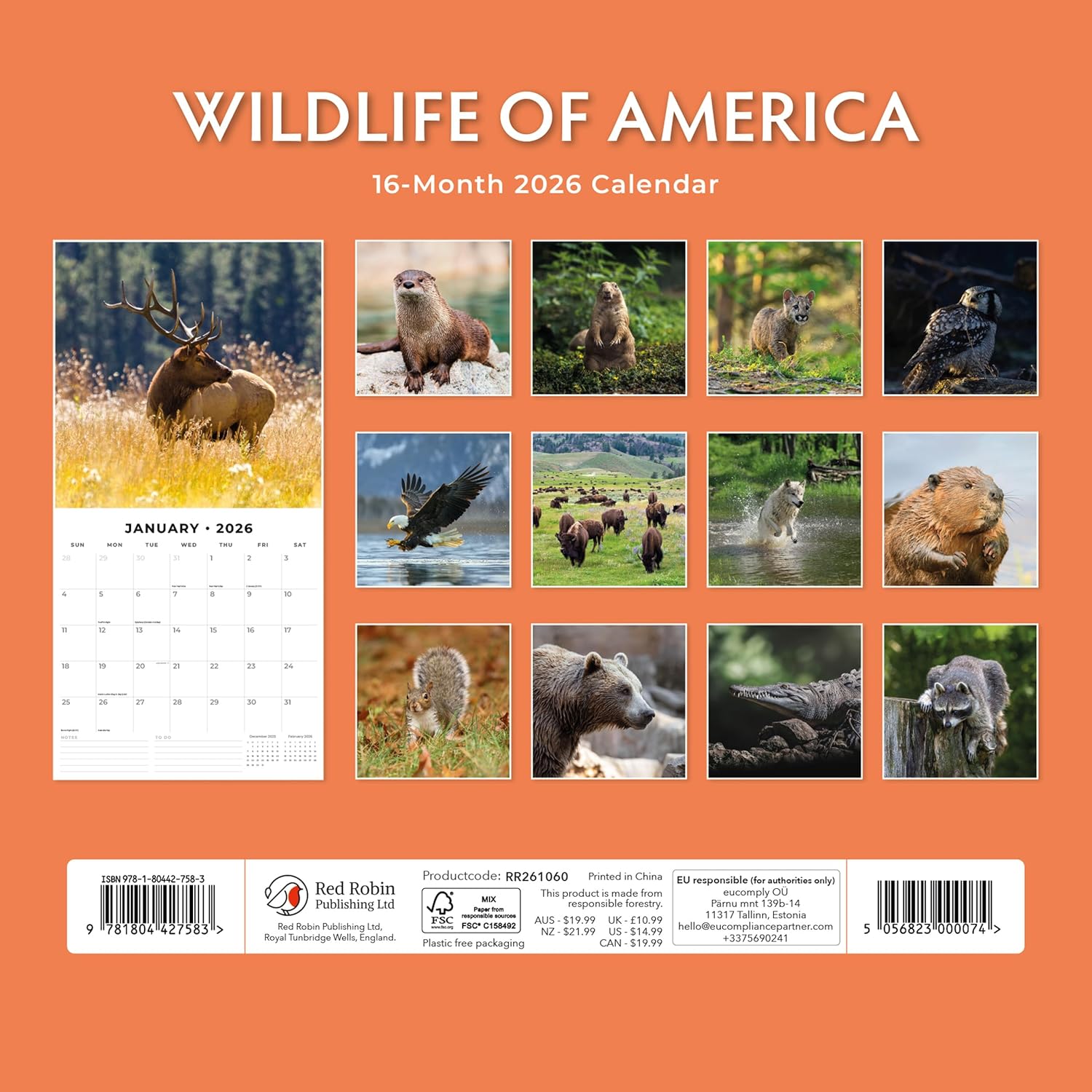 Red Robin 2026 Wildlife of America Monthly Wall Calendar | 12" x 24" Open | Premium Thick & Sturdy Paper | Hangable 12 Month Calendar | Lined Notes & To Do Area | Vivid Images | Plastic Free
