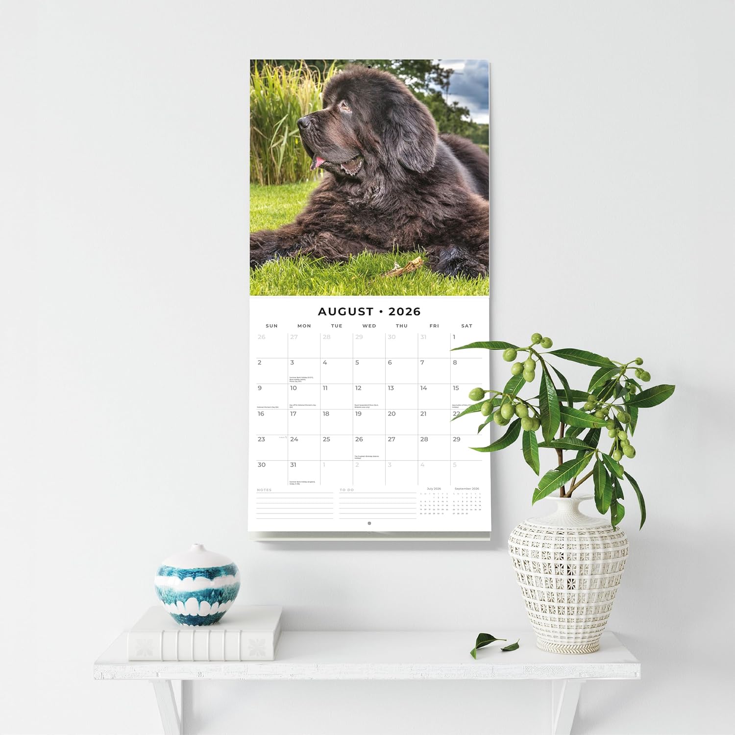 Red Robin 2026 Newfoundlands Monthly Wall Calendar | 12" x 24" Open | Premium Thick & Sturdy Paper | Hangable 12 Month Calendar | Lined Notes & To Do Area | Vivid Images | Plastic Free