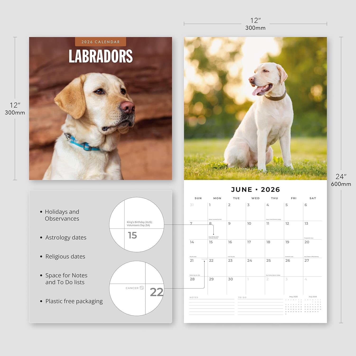 Red Robin 2026 Labradors Monthly Wall Calendar | 12" x 24" Open | Premium Thick & Sturdy Paper | Hangable 12 Month Calendar | Lined Notes & To Do Area | Vivid Images | Plastic Free