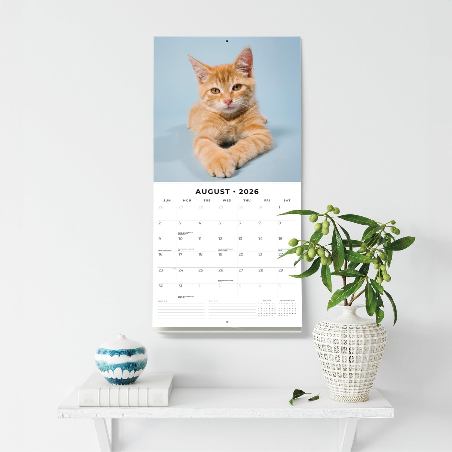 Red Robin 2026 Ginger Cats Monthly Wall Calendar | 12" x 24" Open | Premium Thick & Sturdy Paper | Hangable 12 Month Calendar | Lined Notes & To Do Area | Vivid Images | Plastic Free