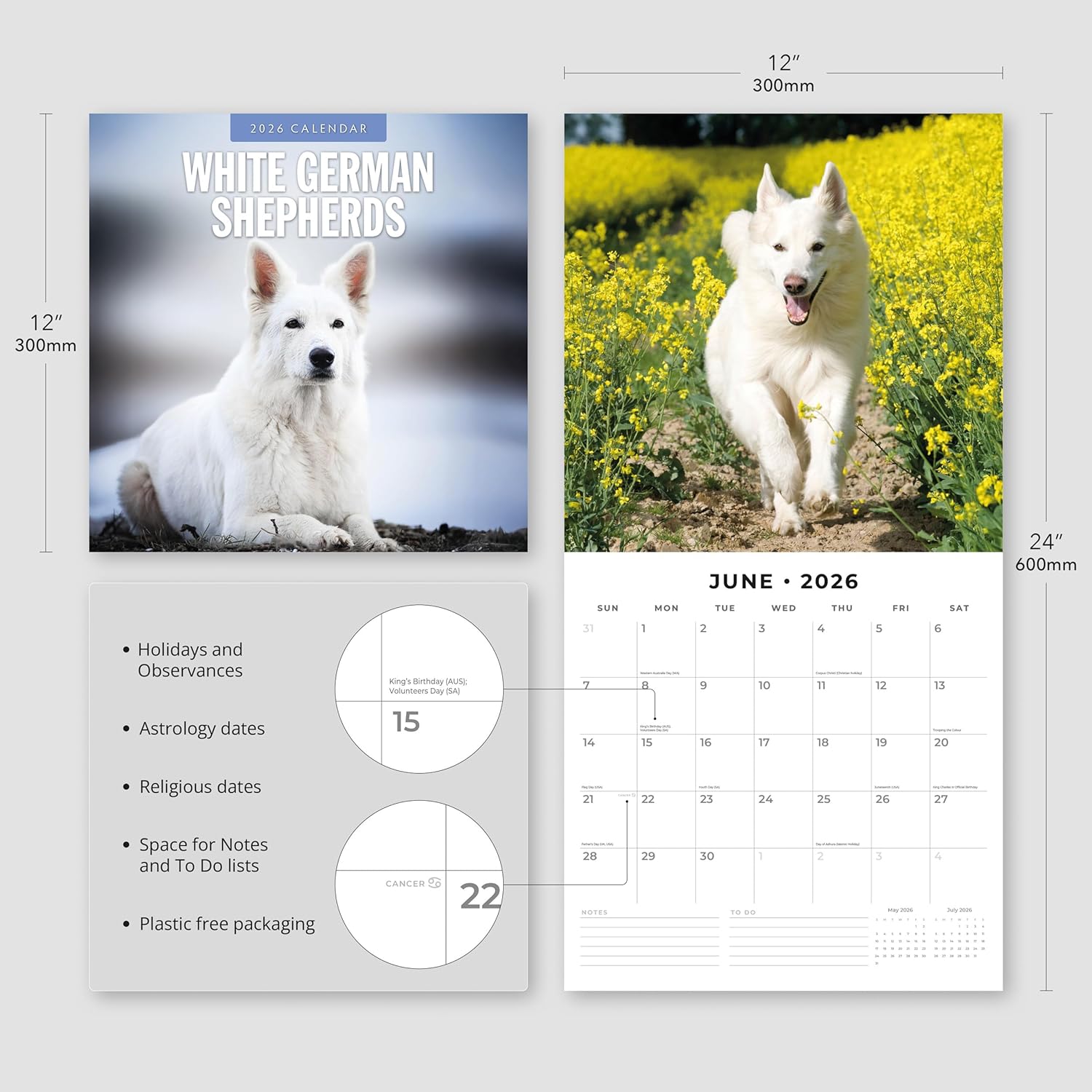 Red Robin 2026 White German Shepherds Monthly Wall Calendar | 12" x 24" Open | Premium Thick & Sturdy Paper | Hangable 12 Month Calendar | Lined Notes & To Do Area | Vivid Images | Plastic Free