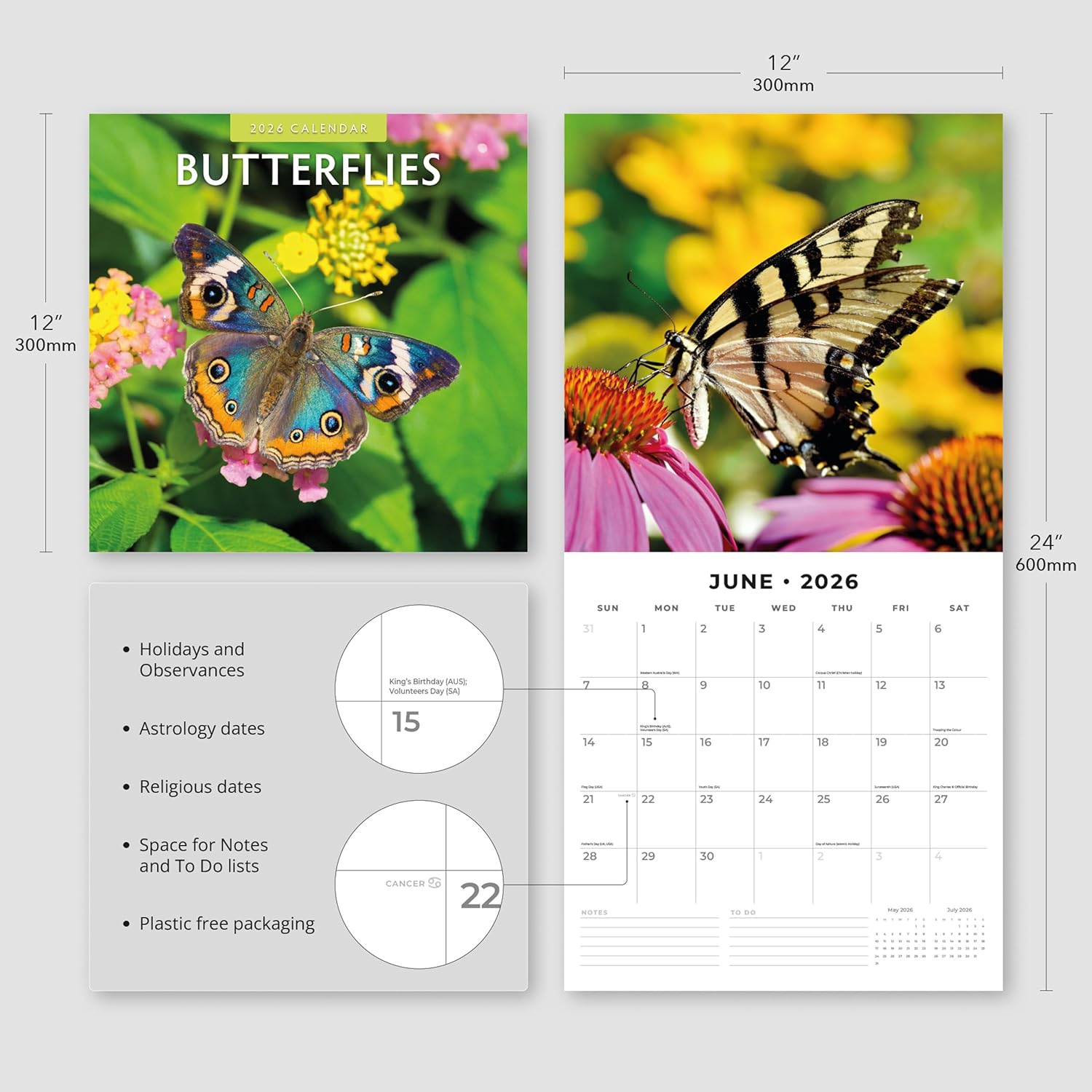 Butterflies - 2026 Square Wall Calendar - by Red Robin Publishing
