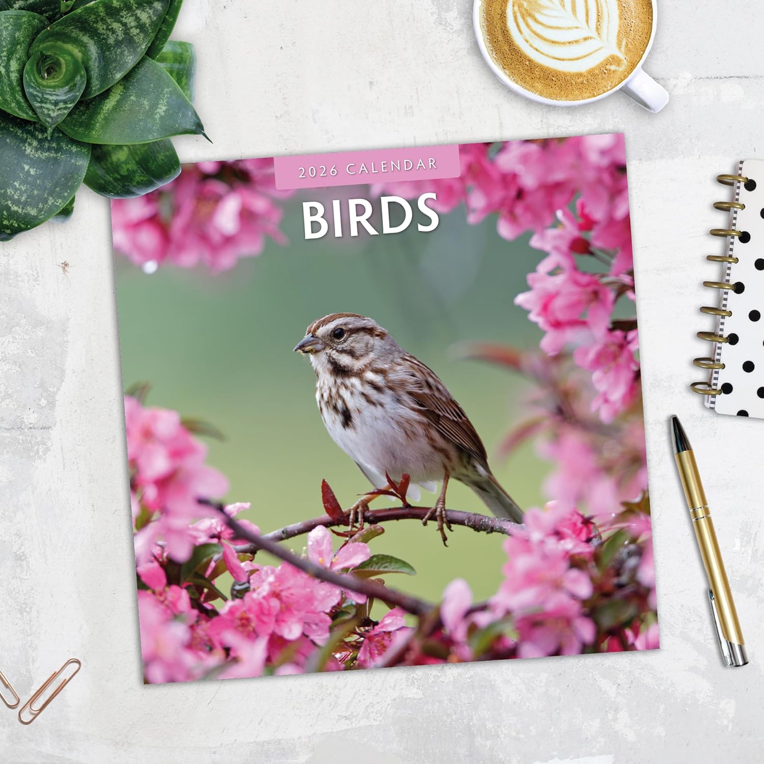 Birds - 2026 Square Wall Calendar - by Red Robin Publishing