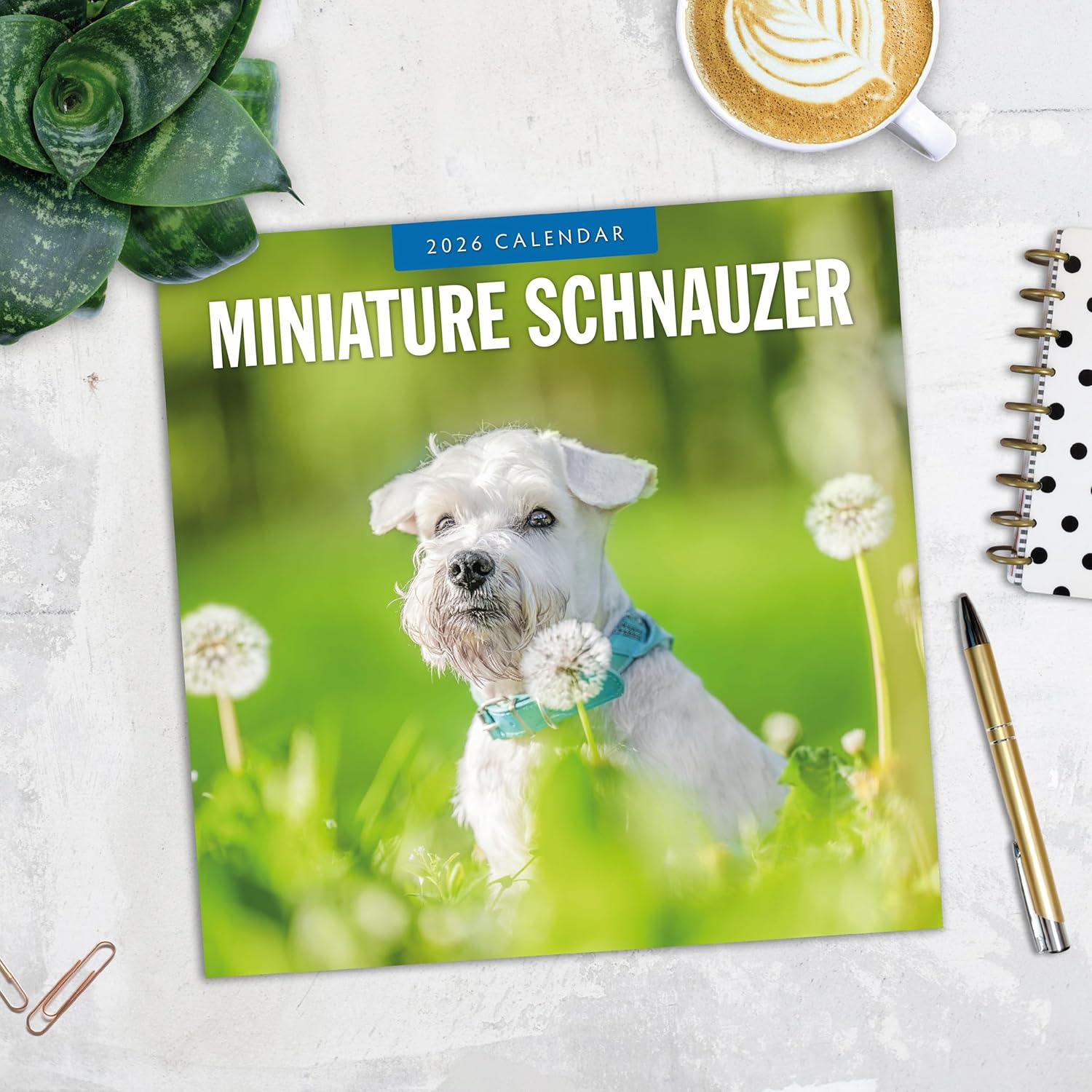 Red Robin 2026 Miniature Schnauzers Monthly Wall Calendar | 12" x 24" Open | Premium Thick & Sturdy Paper | Hangable 12 Month Calendar | Lined Notes & To Do Area | Vivid Images | Plastic Free
