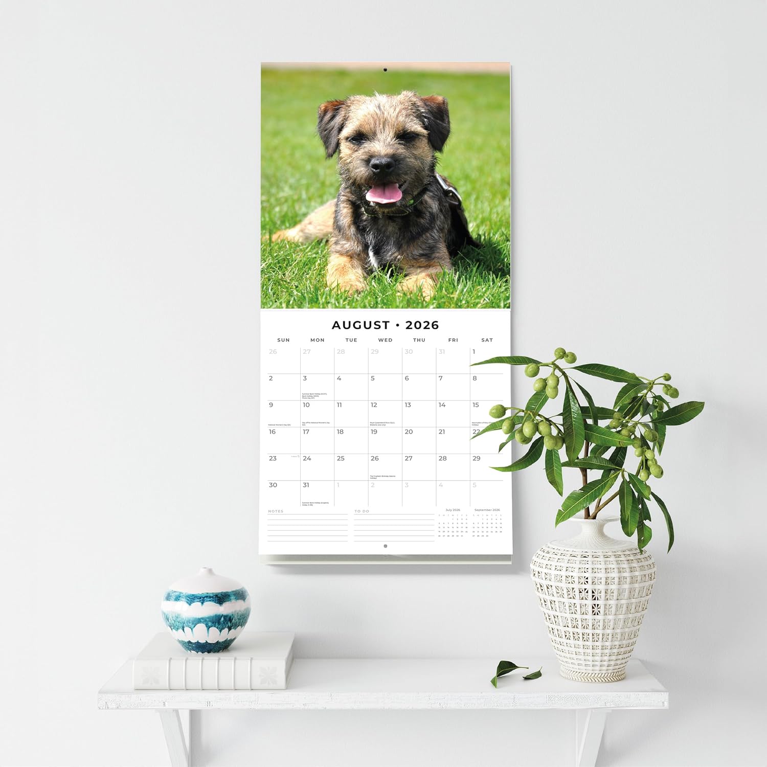 Red Robin 2026 Border Terriers Monthly Wall Calendar | 12" x 24" Open | Premium Thick & Sturdy Paper | Hangable 12 Month Calendar | Lined Notes & To Do Area | Vivid Images | Plastic Free