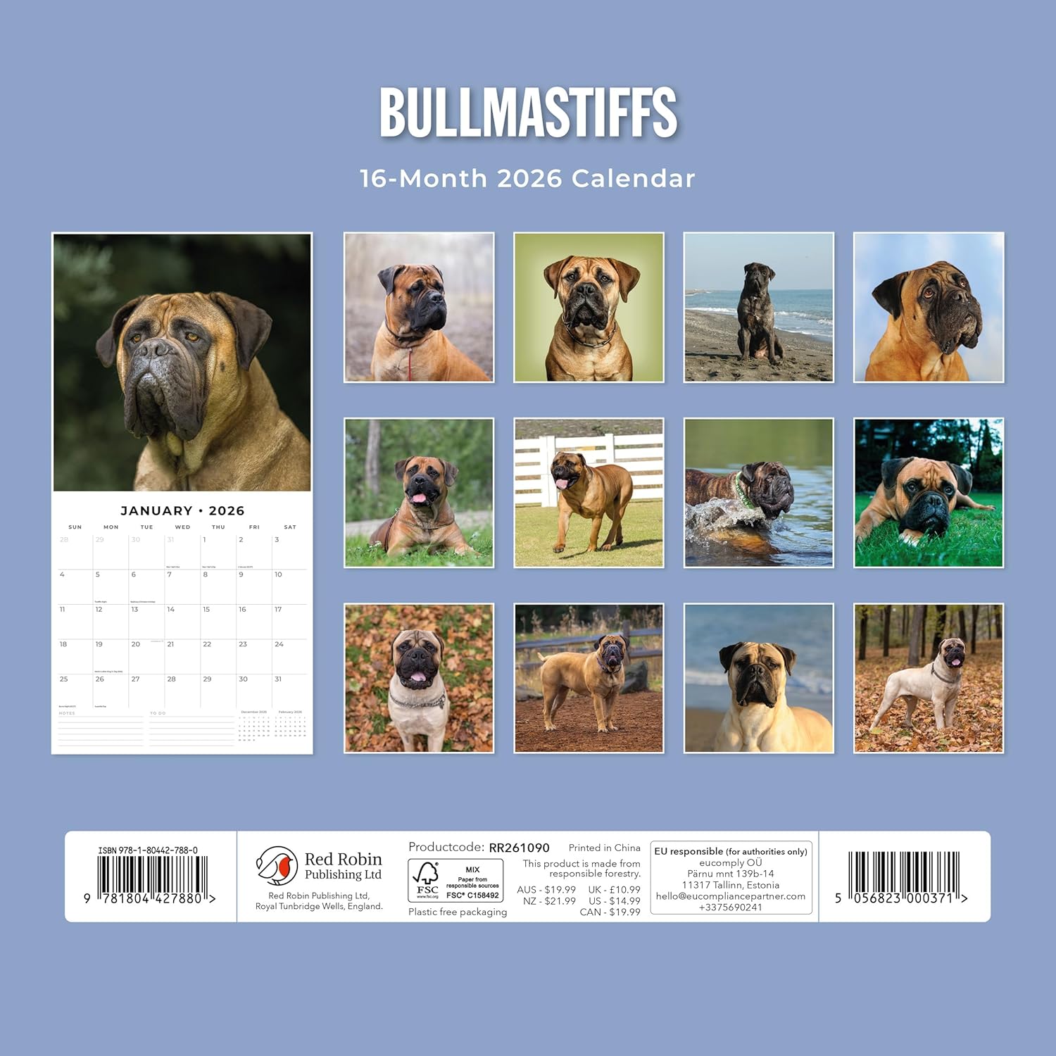 Red Robin 2026 Bullmastiffs Monthly Wall Calendar | 12" x 24" Open | Premium Thick & Sturdy Paper | Hangable 12 Month Calendar | Lined Notes & To Do Area | Vivid Images | Plastic Free
