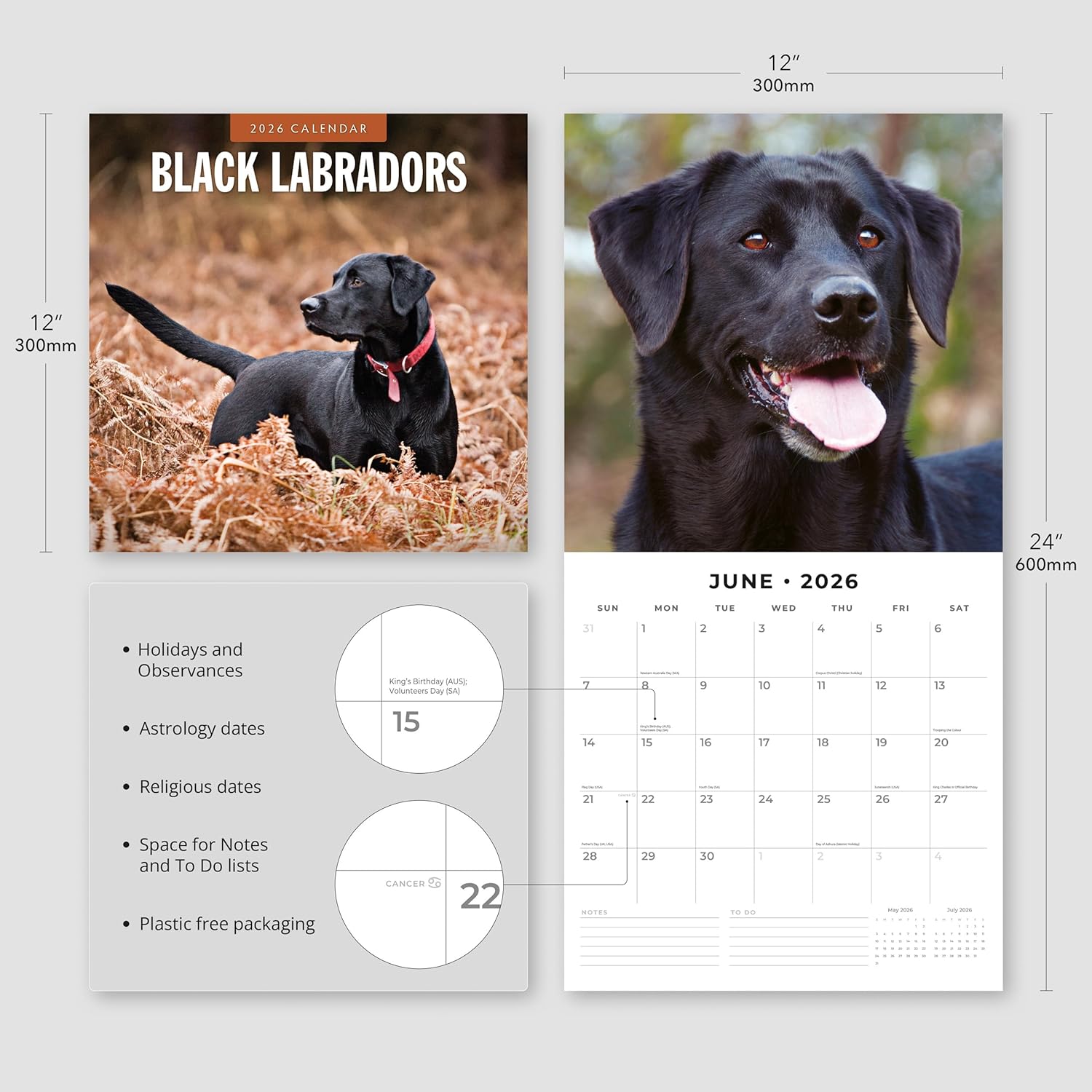Red Robin 2026 Black Labradors Monthly Wall Calendar | 12" x 24" Open | Premium Thick & Sturdy Paper | Hangable 12 Month Calendar | Lined Notes & To Do Area | Vivid Images | Plastic Free