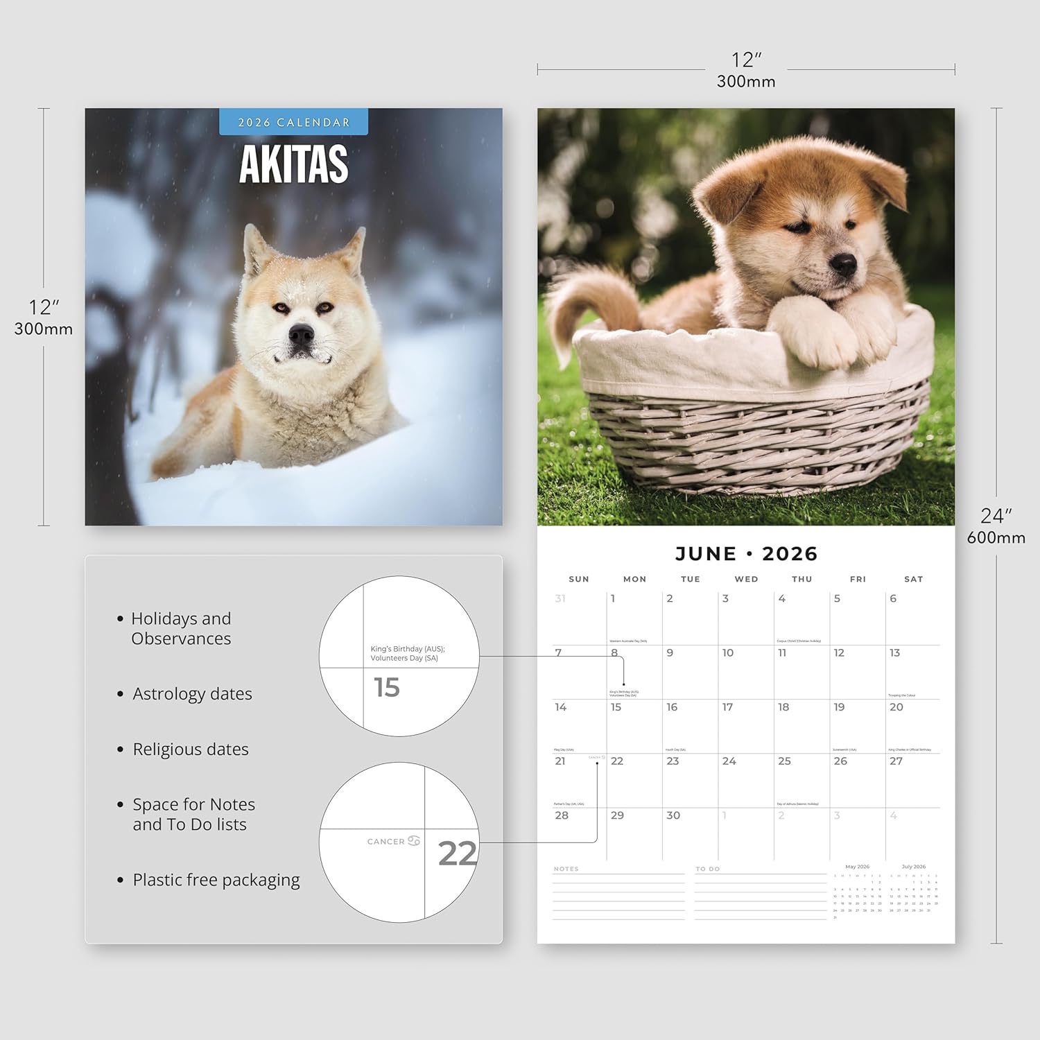 Red Robin 2026 Akitas Monthly Wall Calendar | 12" x 24" Open | Premium Thick & Sturdy Paper | Hangable 12 Month Calendar | Lined Notes & To Do Area | Vivid Images | Plastic Free