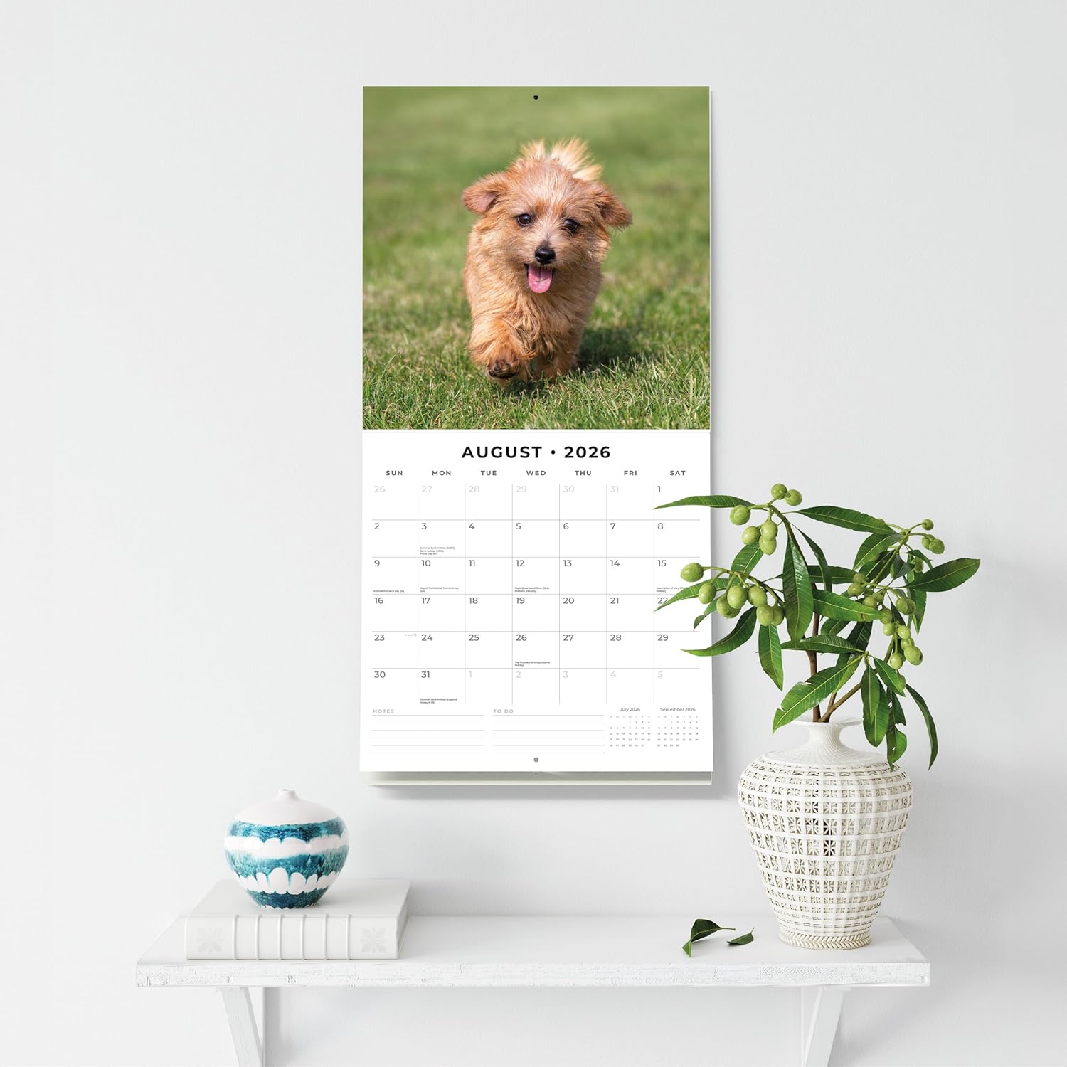 Red Robin 2026 Norwich & Norfolk Terriers Monthly Wall Calendar | 12" x 24" Open | Premium Thick & Sturdy Paper | Hangable 12 Month Calendar | Lined Notes & To Do Area | Vivid Images | Plastic Free