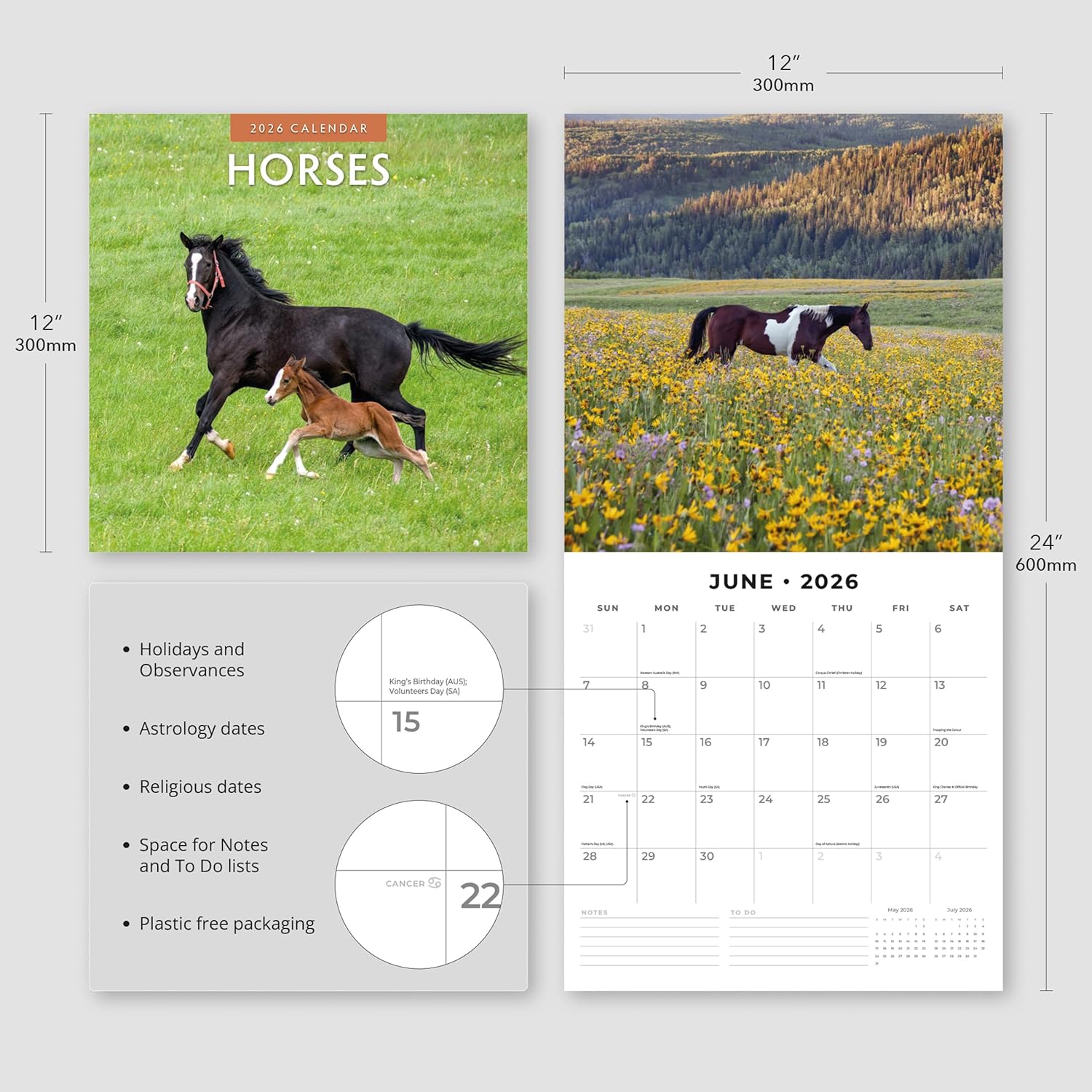 Red Robin 2026 Horses Monthly Wall Calendar | 12" x 24" Open | Premium Thick & Sturdy Paper | Hangable 12 Month Calendar | Lined Notes & To Do Area | Vivid Images | Plastic Free