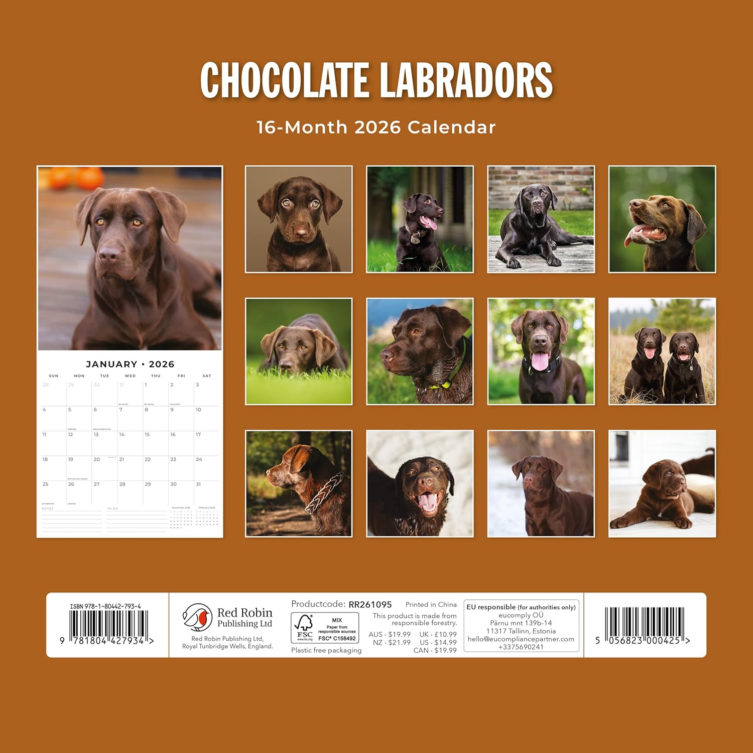 Red Robin 2026 Chocolate Labradors Monthly Wall Calendar | 12" x 24" Open | Premium Thick & Sturdy Paper | Hangable 12 Month Calendar | Lined Notes & To Do Area | Vivid Images | Plastic Free