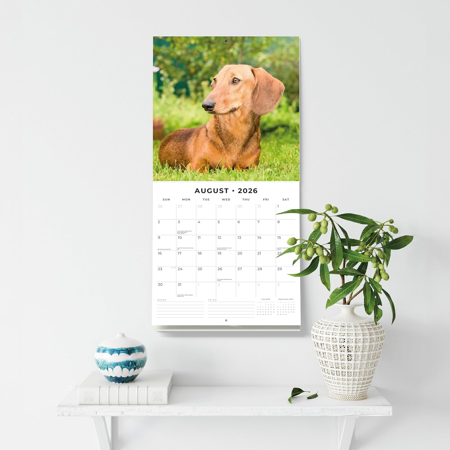 Red Robin 2026 Dachshunds Monthly Wall Calendar | 12" x 24" Open | Premium Thick & Sturdy Paper | Hangable 12 Month Calendar | Lined Notes & To Do Area | Vivid Images | Plastic Free
