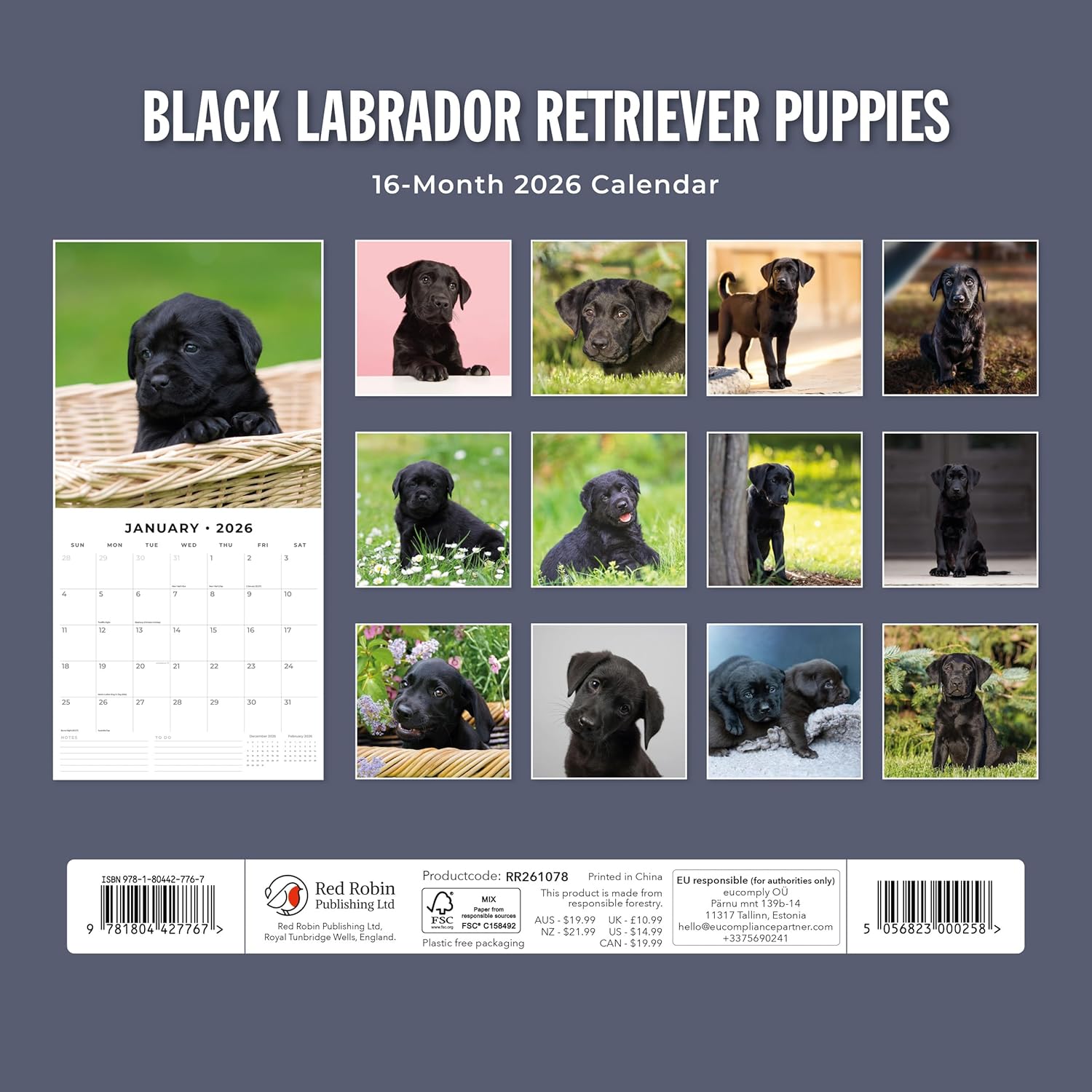 Red Robin 2026 Black Labrador Retriever Puppies Monthly Wall Calendar | 12" x 24" Open | Premium Thick & Sturdy Paper | Hangable 12 Month Calendar | Lined Notes & To Do Area | Plastic Free