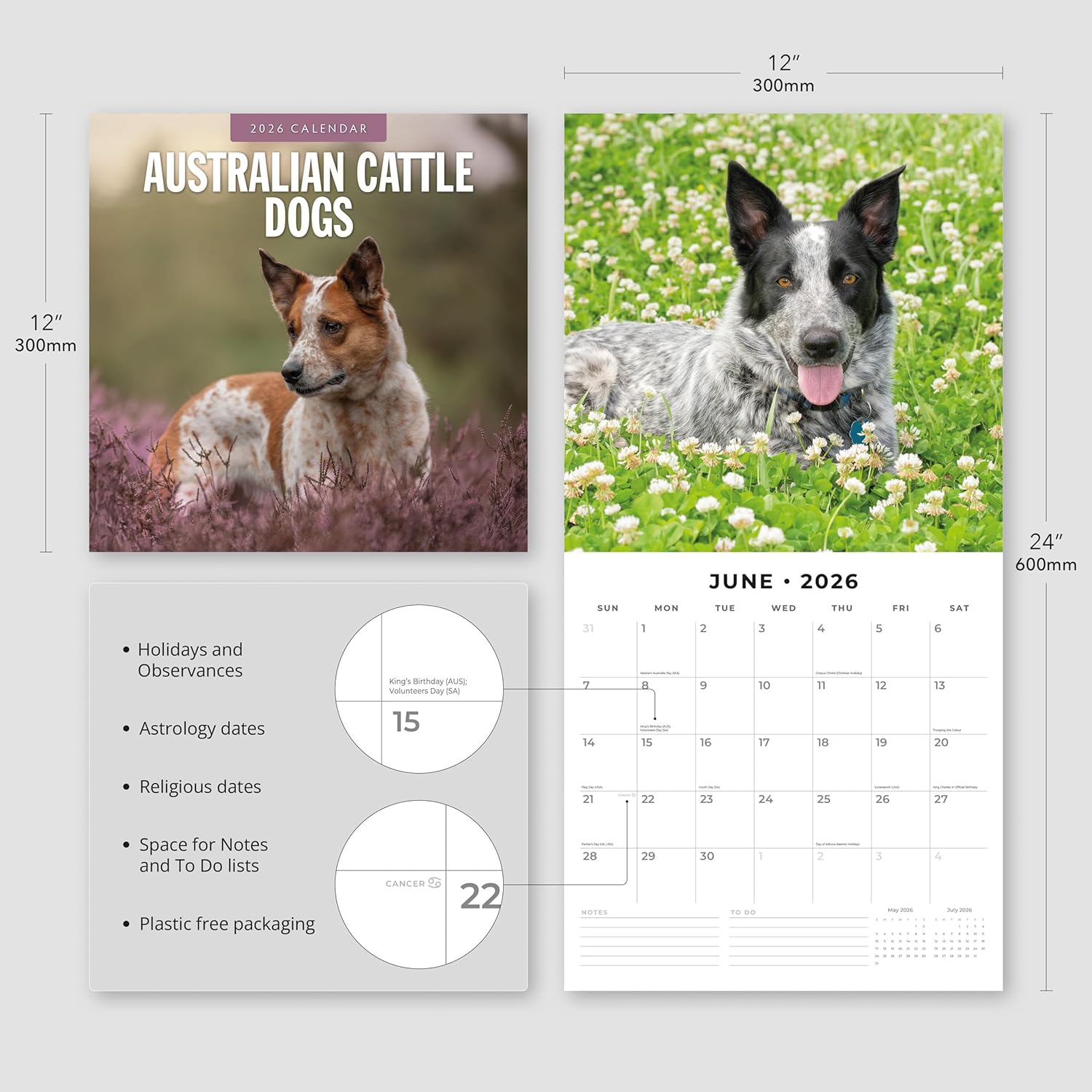 Red Robin 2026 Australian Cattle Dogs Monthly Wall Calendar | 12" x 24" Open | Premium Thick & Sturdy Paper | Hangable 12 Month Calendar | Lined Notes & To Do Area | Vivid Images | Plastic Free