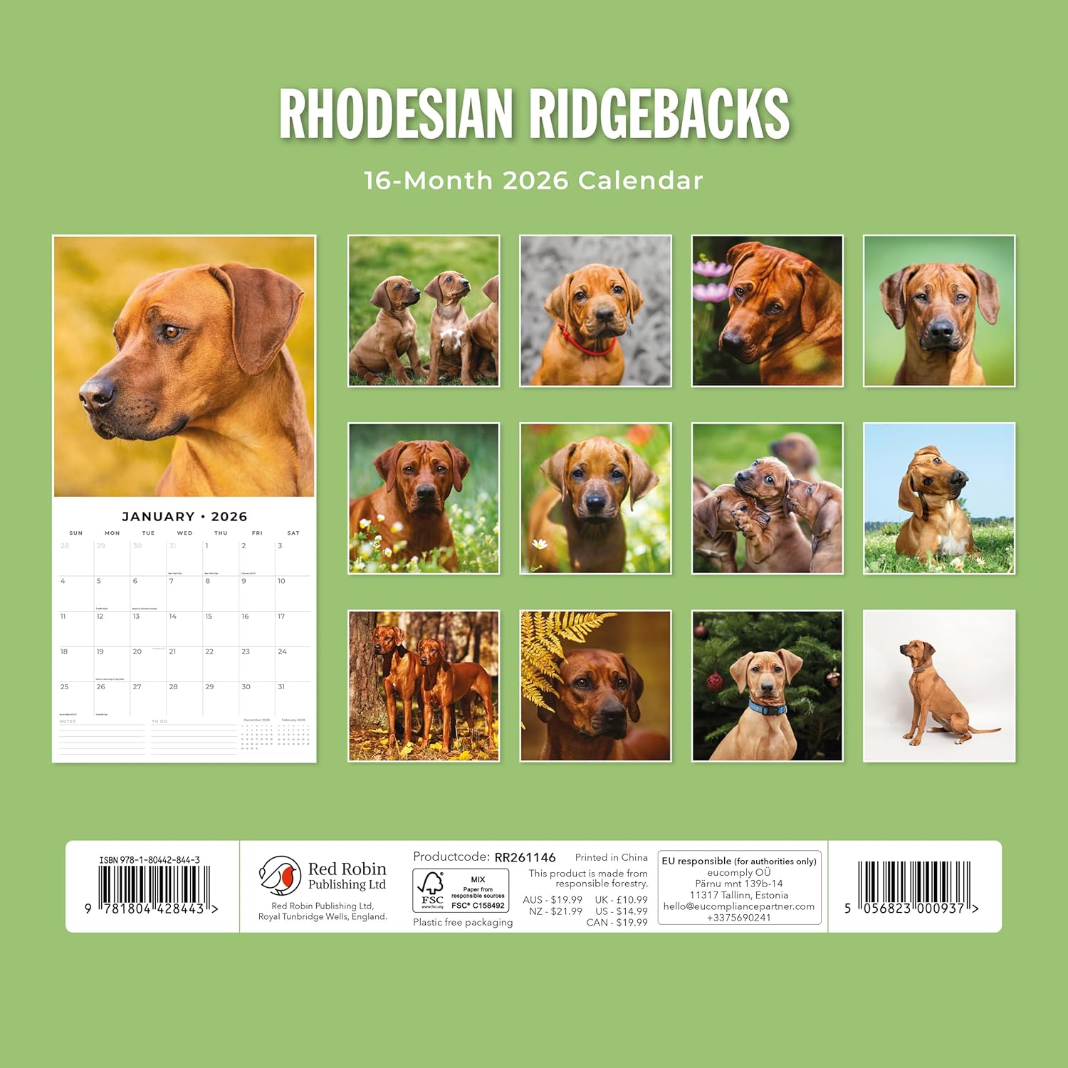 Red Robin 2026 Rhodesian Ridgebacks Monthly Wall Calendar | 12" x 24" Open | Premium Thick & Sturdy Paper | Hangable 12 Month Calendar | Lined Notes & To Do Area | Vivid Images | Plastic Free