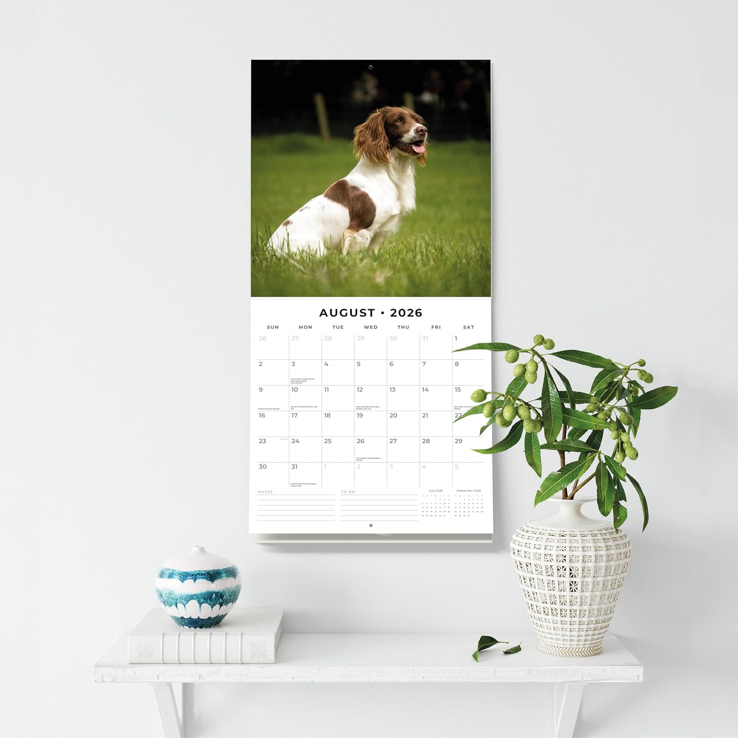 Red Robin 2026 English Springer Spaniels Monthly Wall Calendar | 12" x 24" Open | Premium Thick & Sturdy Paper | Hangable 12 Month Calendar | Lined Notes & To Do Area | Vivid Images | Plastic Free