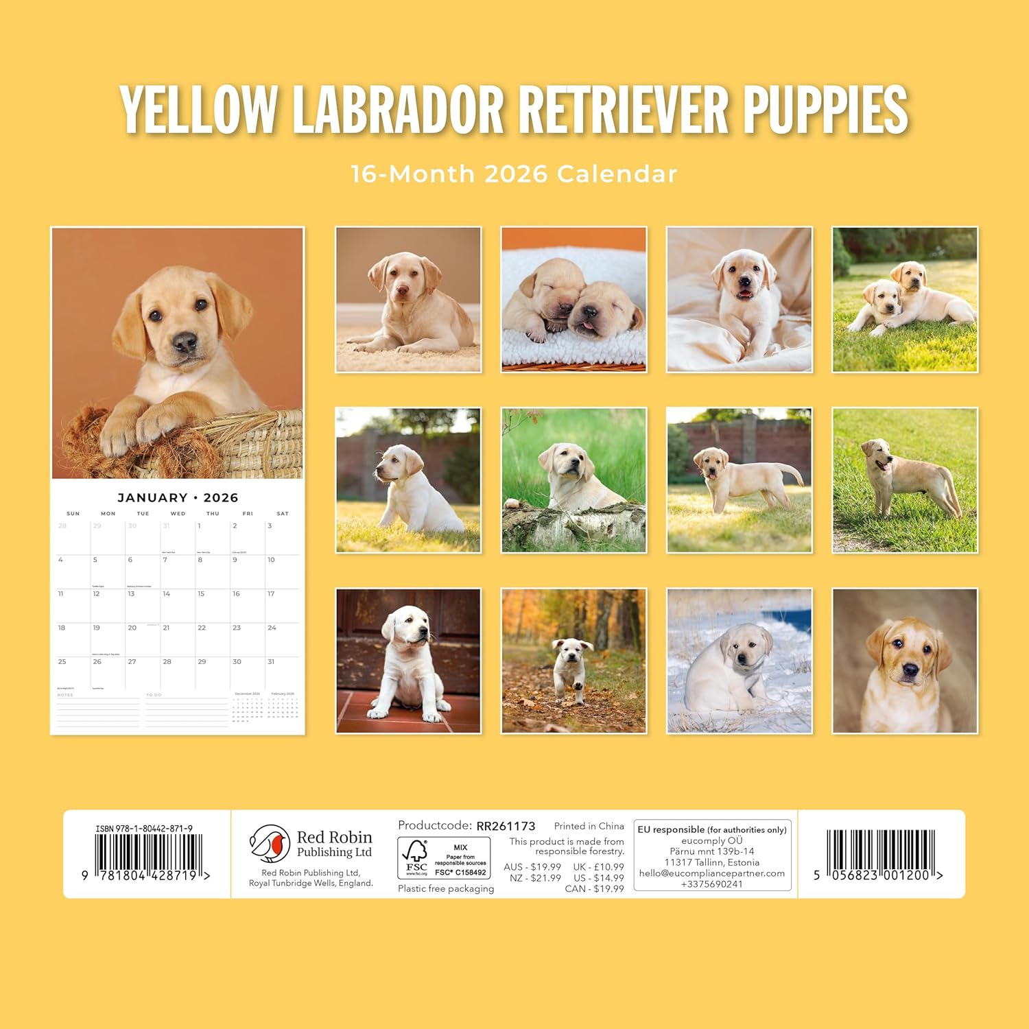 Red Robin 2026 Yellow Labradors Monthly Wall Calendar | 12" x 24" Open | Premium Thick & Sturdy Paper | Hangable 12 Month Calendar | Lined Notes & To Do Area | Vivid Images | Plastic Free