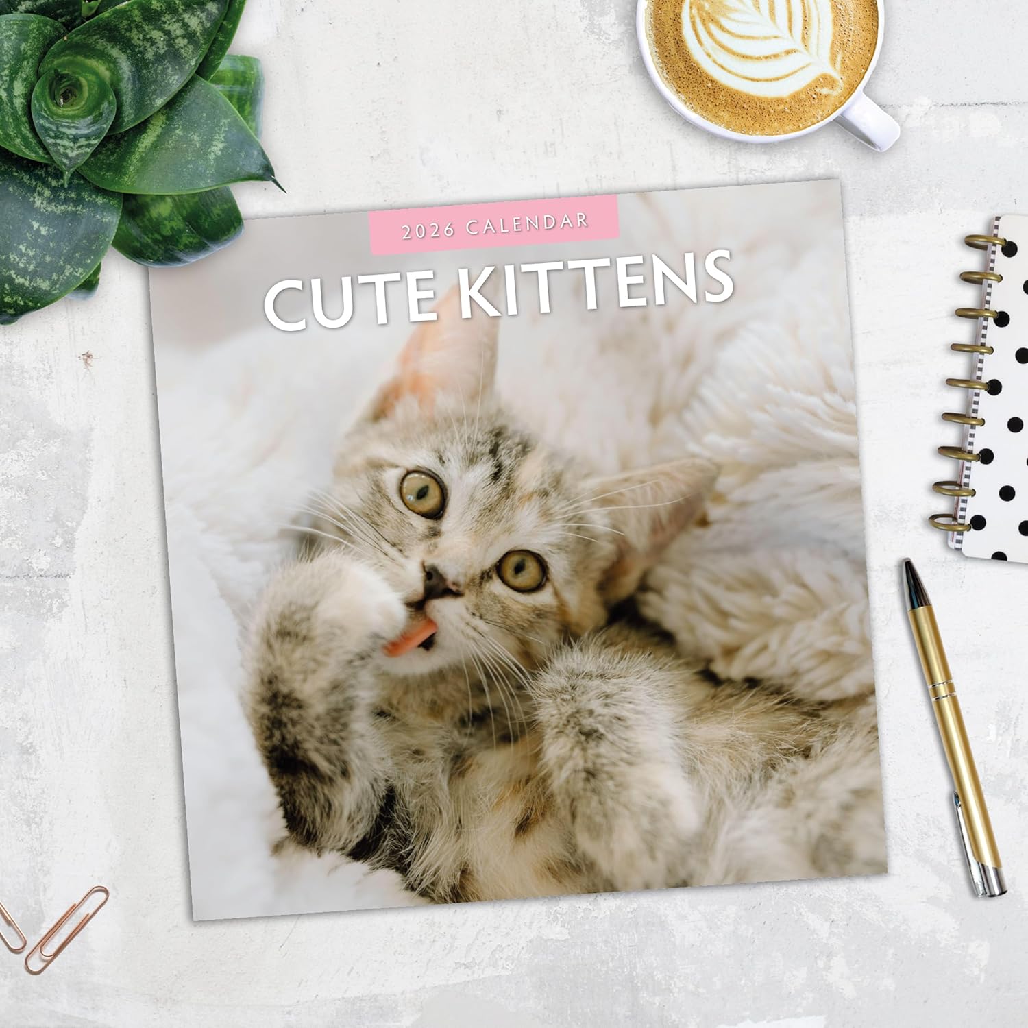 Red Robin 2026 Cute Kittens Monthly Wall Calendar | 12" x 24" Open | Premium Thick & Sturdy Paper | Hangable 12 Month Calendar | Lined Notes & To Do Area | Vivid Images | Plastic Free