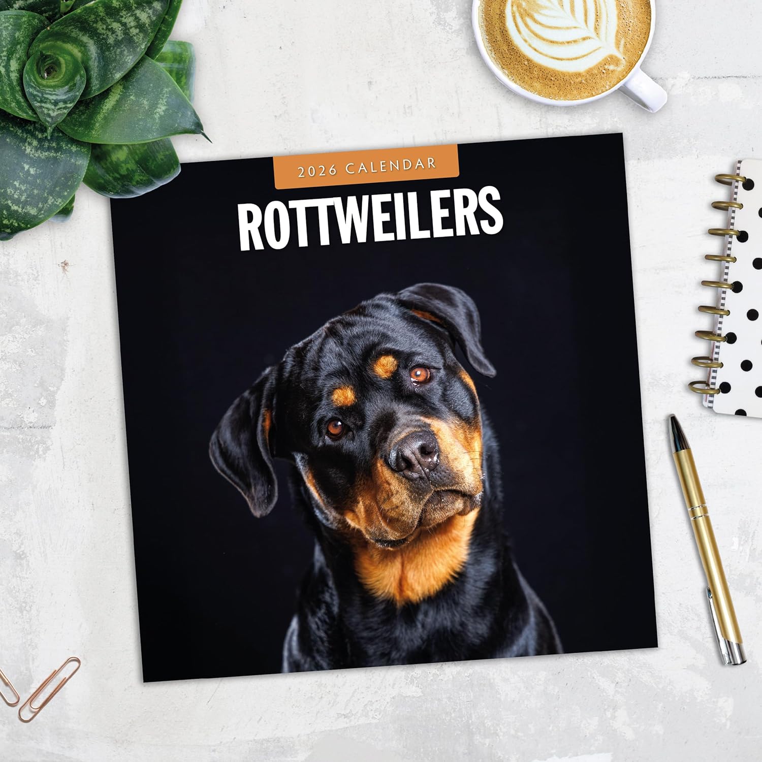 Red Robin 2026 Rottweilers Monthly Wall Calendar | 12" x 24" Open | Premium Thick & Sturdy Paper | Hangable 12 Month Calendar | Lined Notes & To Do Area | Vivid Images | Plastic Free