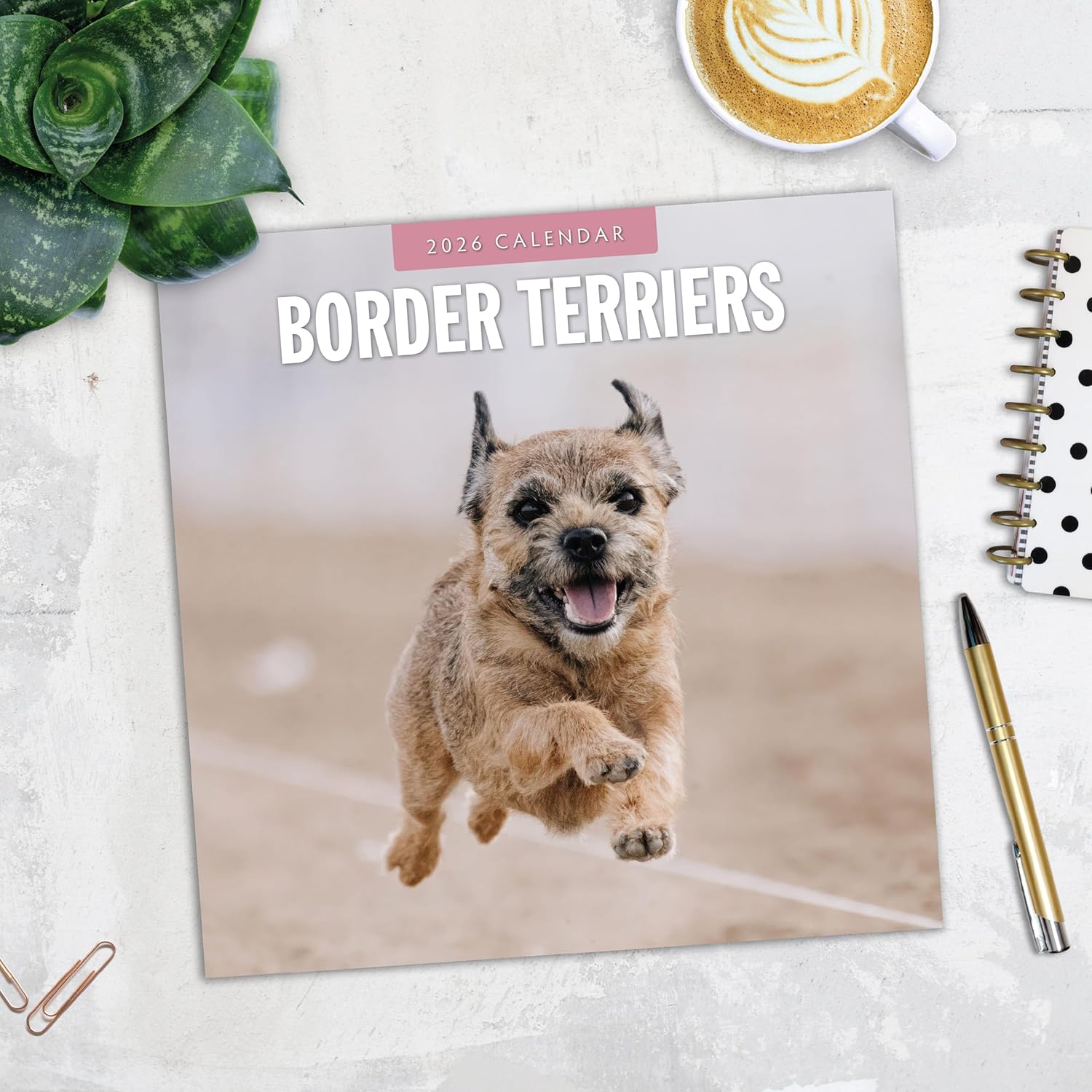 Red Robin 2026 Border Terriers Monthly Wall Calendar | 12" x 24" Open | Premium Thick & Sturdy Paper | Hangable 12 Month Calendar | Lined Notes & To Do Area | Vivid Images | Plastic Free