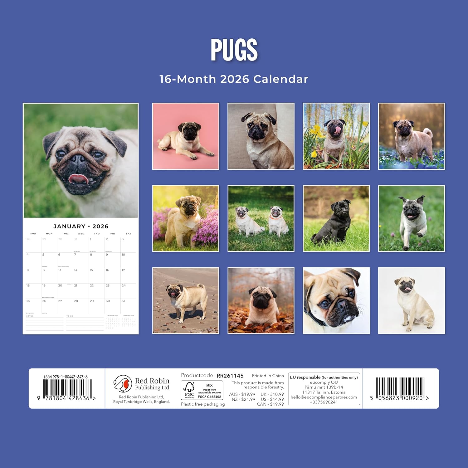 Red Robin 2026 Pugs Monthly Wall Calendar | 12" x 24" Open | Premium Thick & Sturdy Paper | Hangable 12 Month Calendar | Lined Notes & To Do Area | Vivid Images | Plastic Free