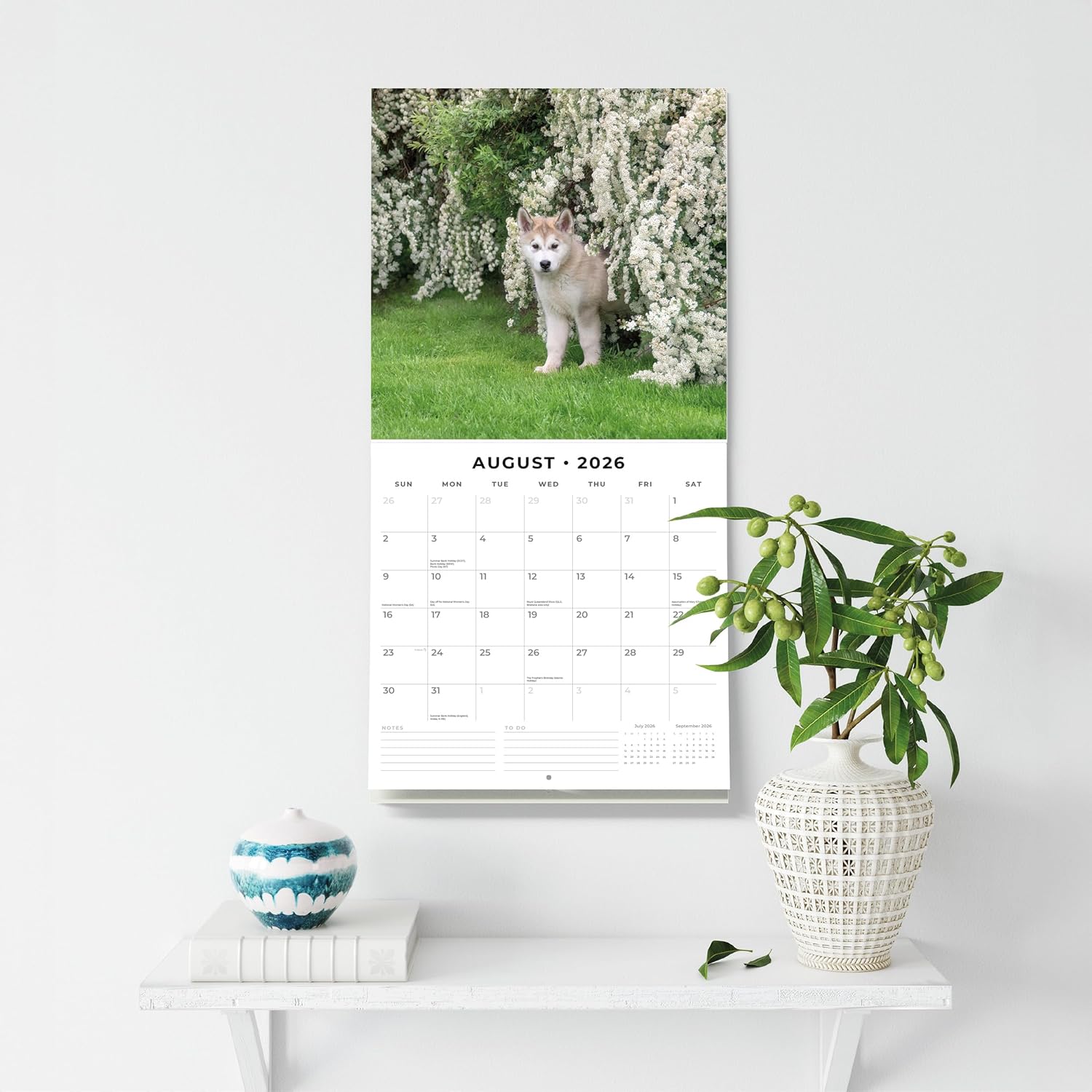 Red Robin 2026 Alaskan Malamutes Monthly Wall Calendar | 12" x 24" Open | Premium Thick & Sturdy Paper | Hangable 12 Month Calendar | Lined Notes & To Do Area | Vivid Images | Plastic Free