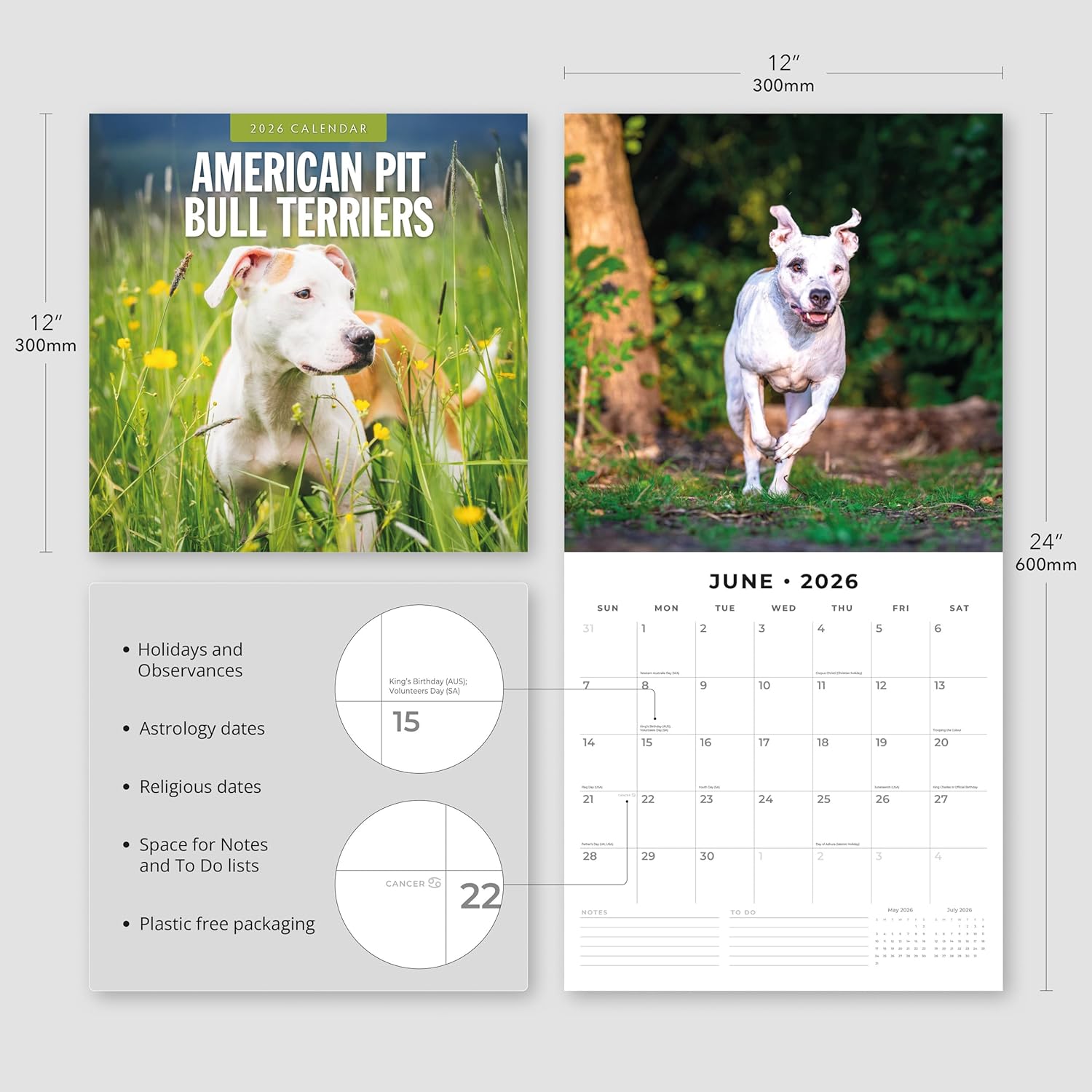 Red Robin 2026 American Pit Bull Terriers Monthly Wall Calendar | 12" x 24" Open | Premium Thick & Sturdy Paper | Hangable 12 Month Calendar | Lined Notes & To Do Area | Vivid Images | Plastic Free