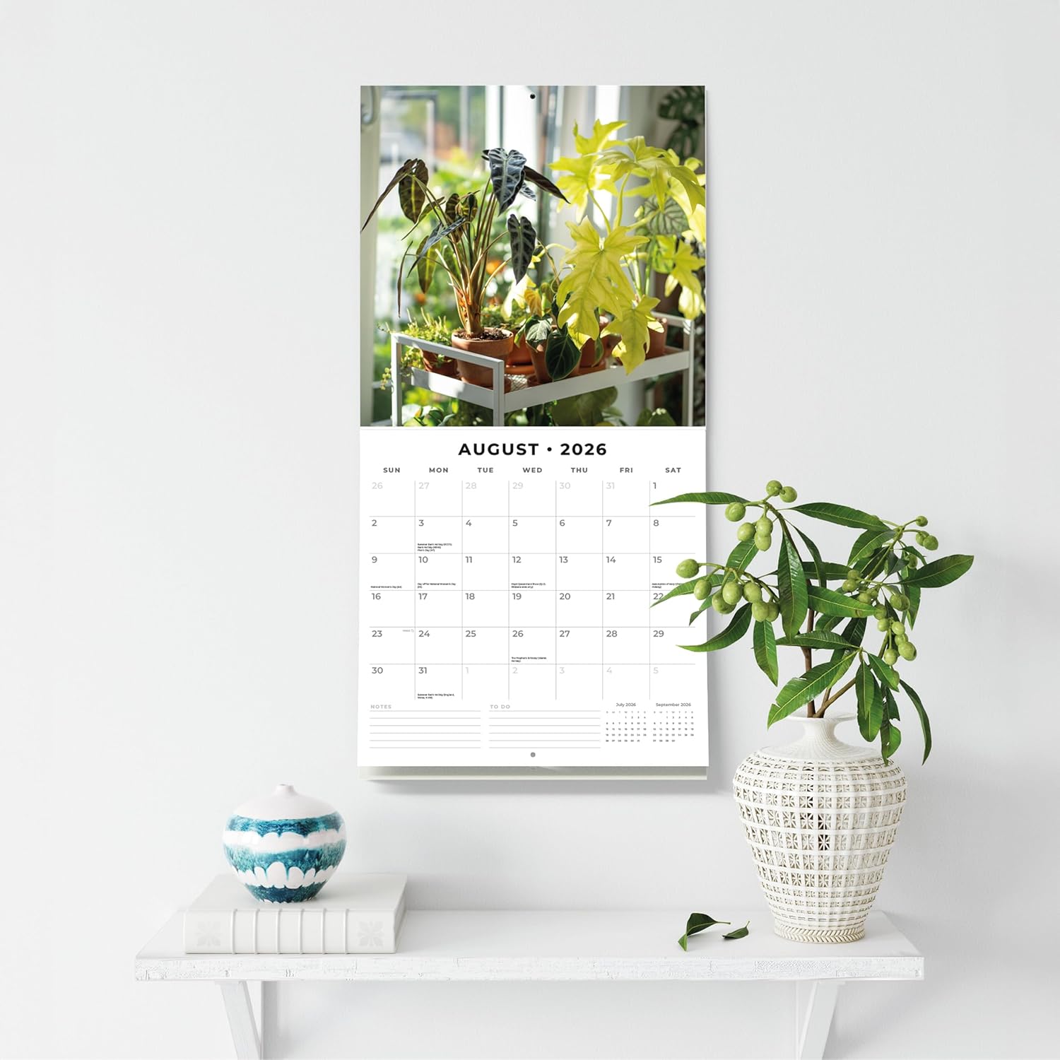 Red Robin 2026 House Plants Monthly Wall Calendar | 12" x 24" Open | Premium Thick & Sturdy Paper | Hangable 12 Month Calendar | Lined Notes & To Do Area | Vivid Images | Plastic Free