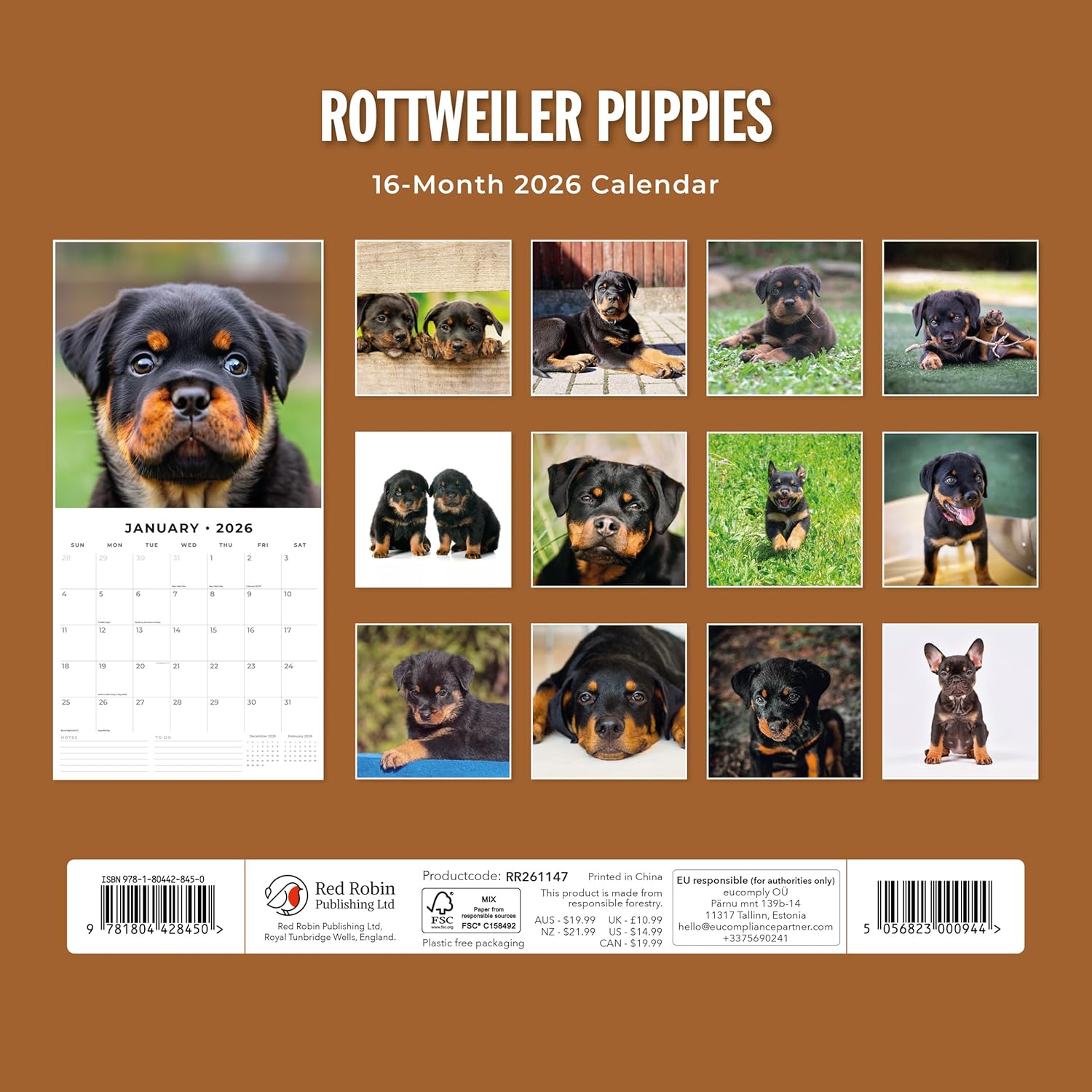Red Robin 2026 Rottweiler Puppies Monthly Wall Calendar | 12" x 24" Open | Premium Thick & Sturdy Paper | Hangable 12 Month Calendar | Lined Notes & To Do Area | Vivid Images | Plastic Free
