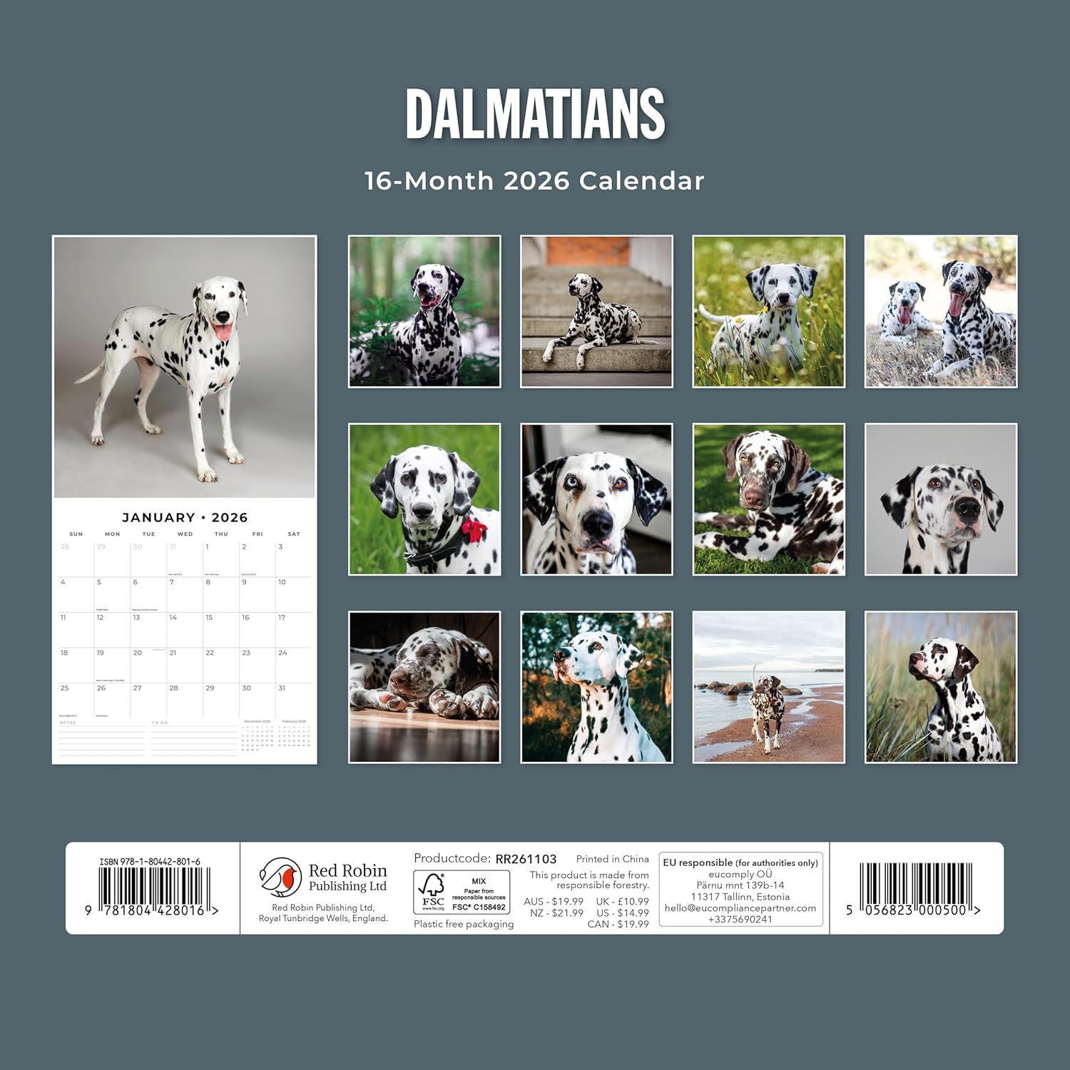 Red Robin 2026 Dalmatians Monthly Wall Calendar | 12" x 24" Open | Premium Thick & Sturdy Paper | Hangable 12 Month Calendar | Lined Notes & To Do Area | Vivid Images | Plastic Free