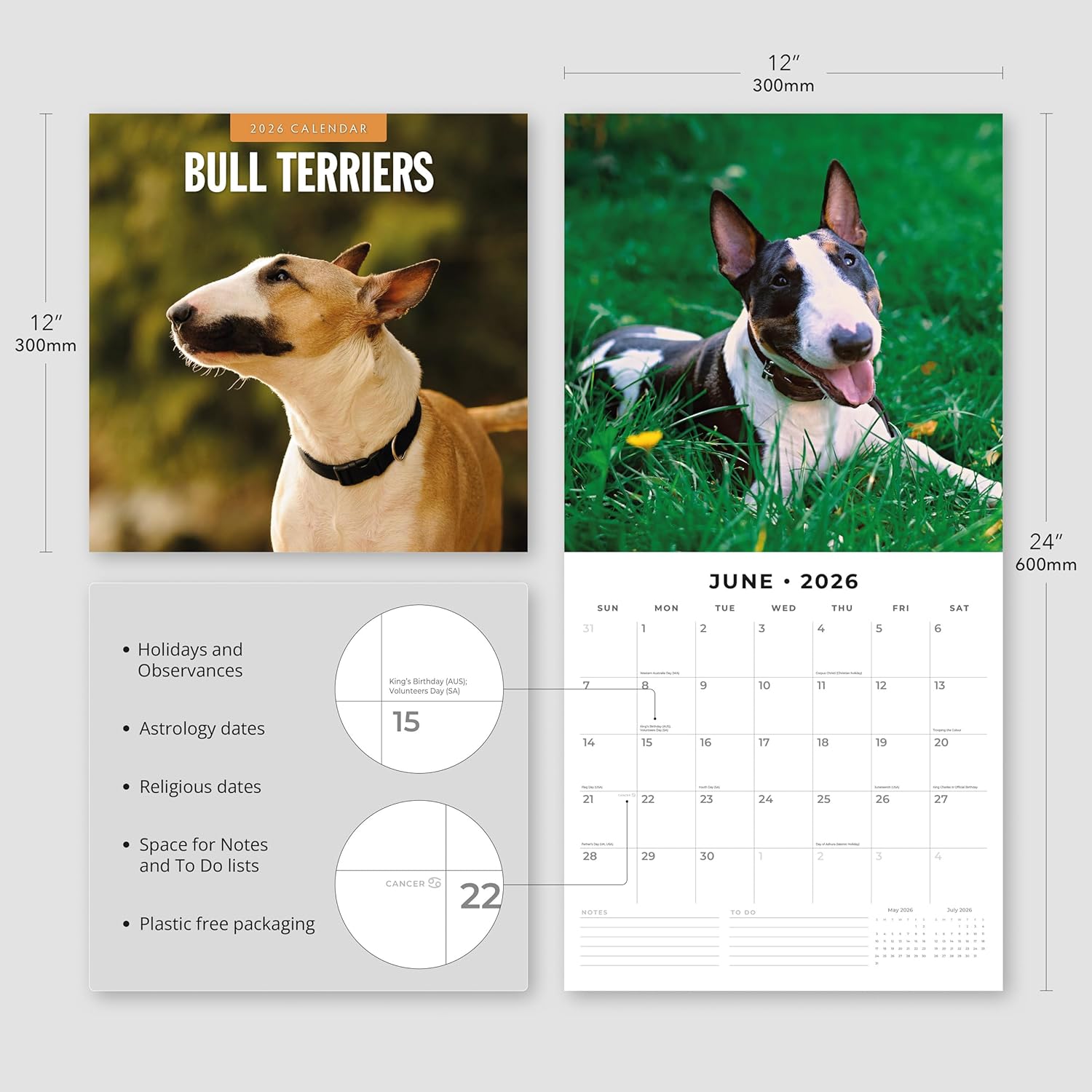 Red Robin 2026 Bull Terriers Monthly Wall Calendar | 12" x 24" Open | Premium Thick & Sturdy Paper | Hangable 12 Month Calendar | Lined Notes & To Do Area | Vivid Images | Plastic Free