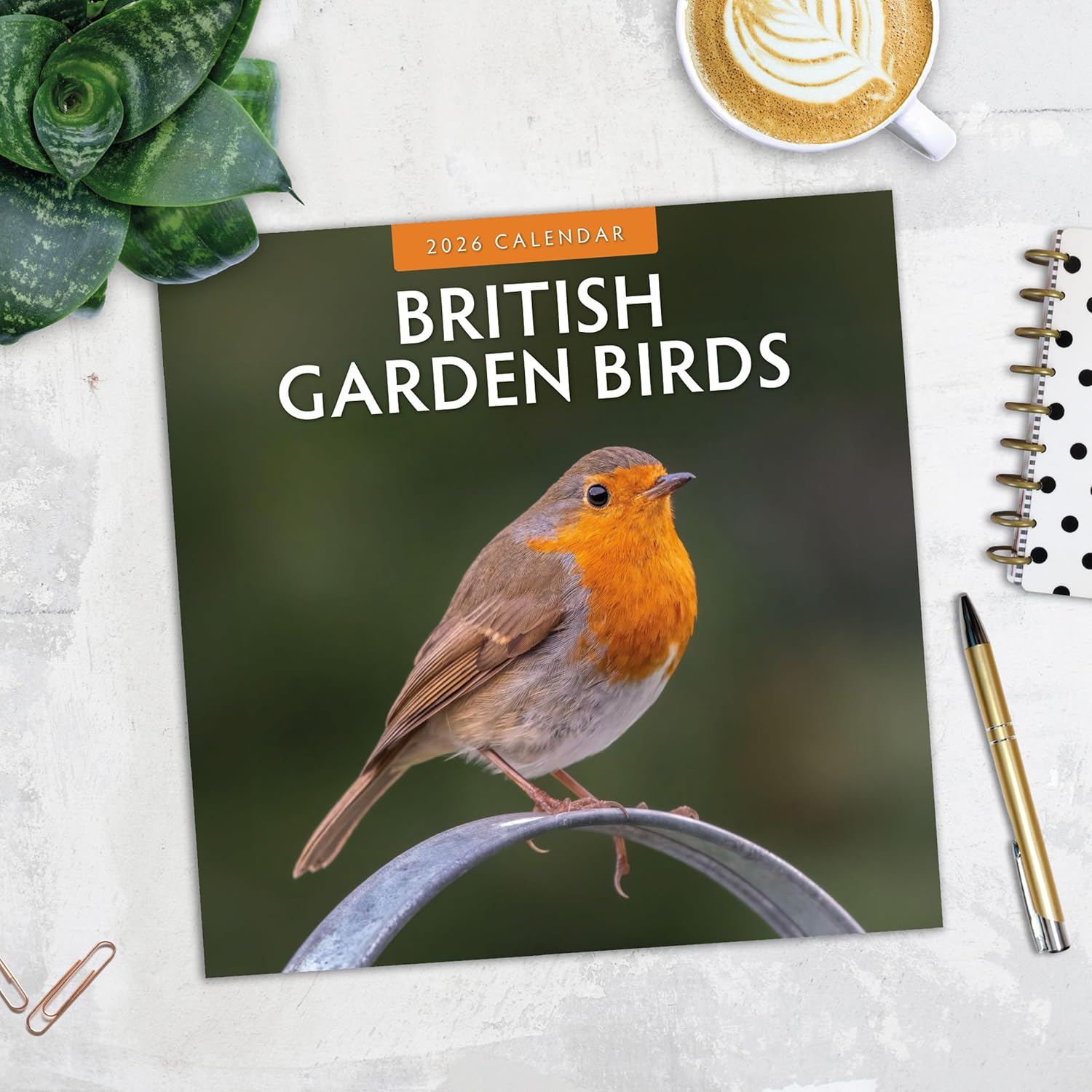 Red Robin 2026 British Garden Birds Monthly Wall Calendar | 12" x 24" Open | Premium Thick & Sturdy Paper | Hangable 12 Month Calendar | Lined Notes & To Do Area | Vivid Images | Plastic Free
