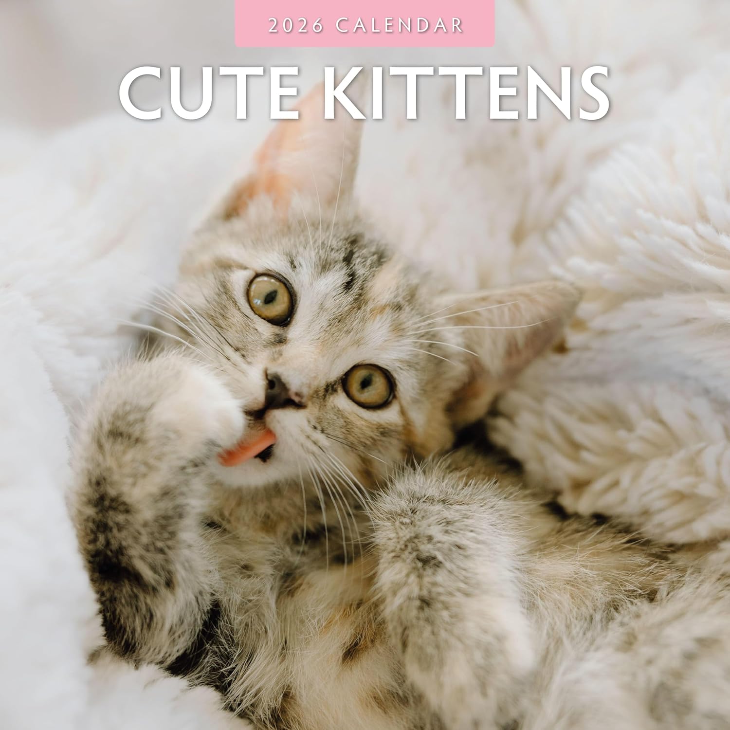 Red Robin 2026 Cute Kittens Monthly Wall Calendar | 12" x 24" Open | Premium Thick & Sturdy Paper | Hangable 12 Month Calendar | Lined Notes & To Do Area | Vivid Images | Plastic Free