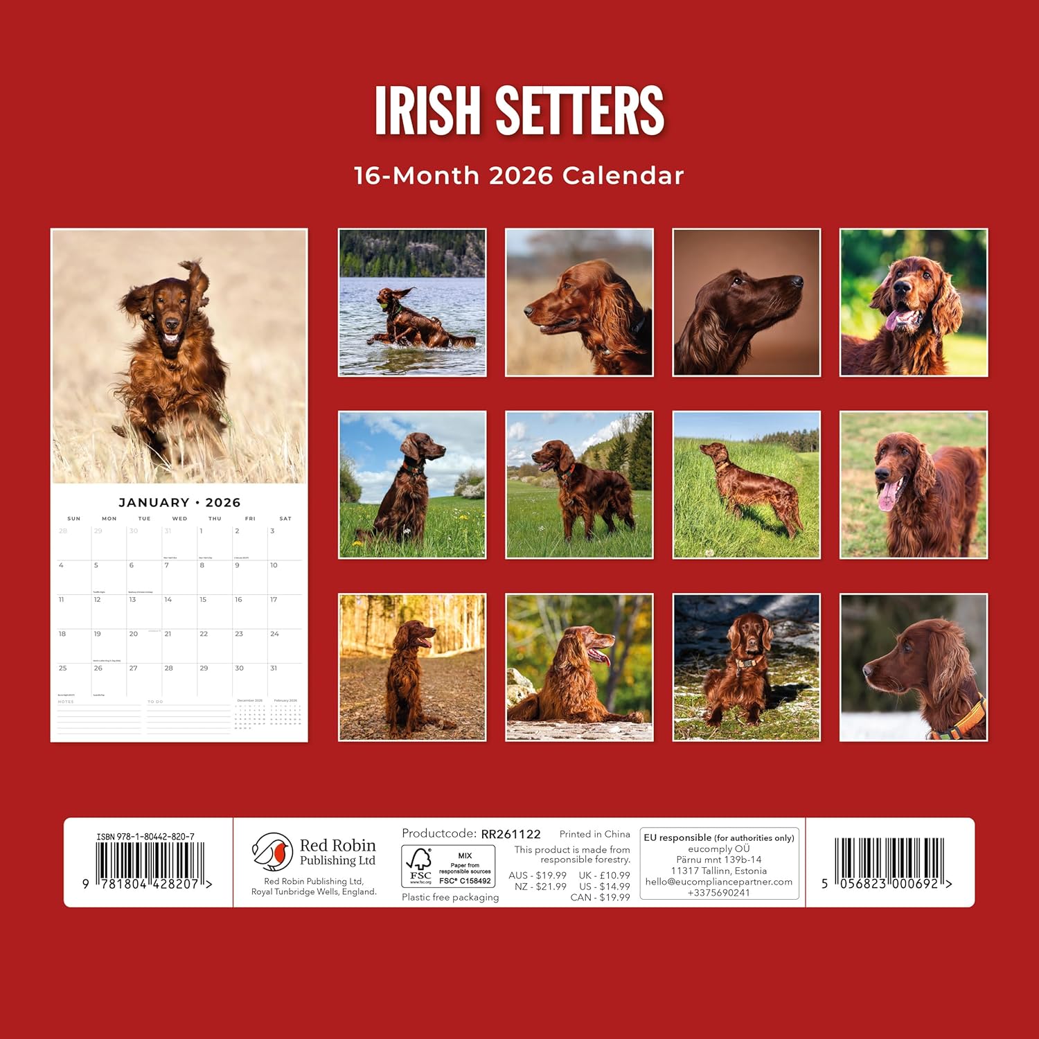 Red Robin 2026 Irish Setters Monthly Wall Calendar | 12" x 24" Open | Premium Thick & Sturdy Paper | Hangable 12 Month Calendar | Lined Notes & To Do Area | Vivid Images | Plastic Free